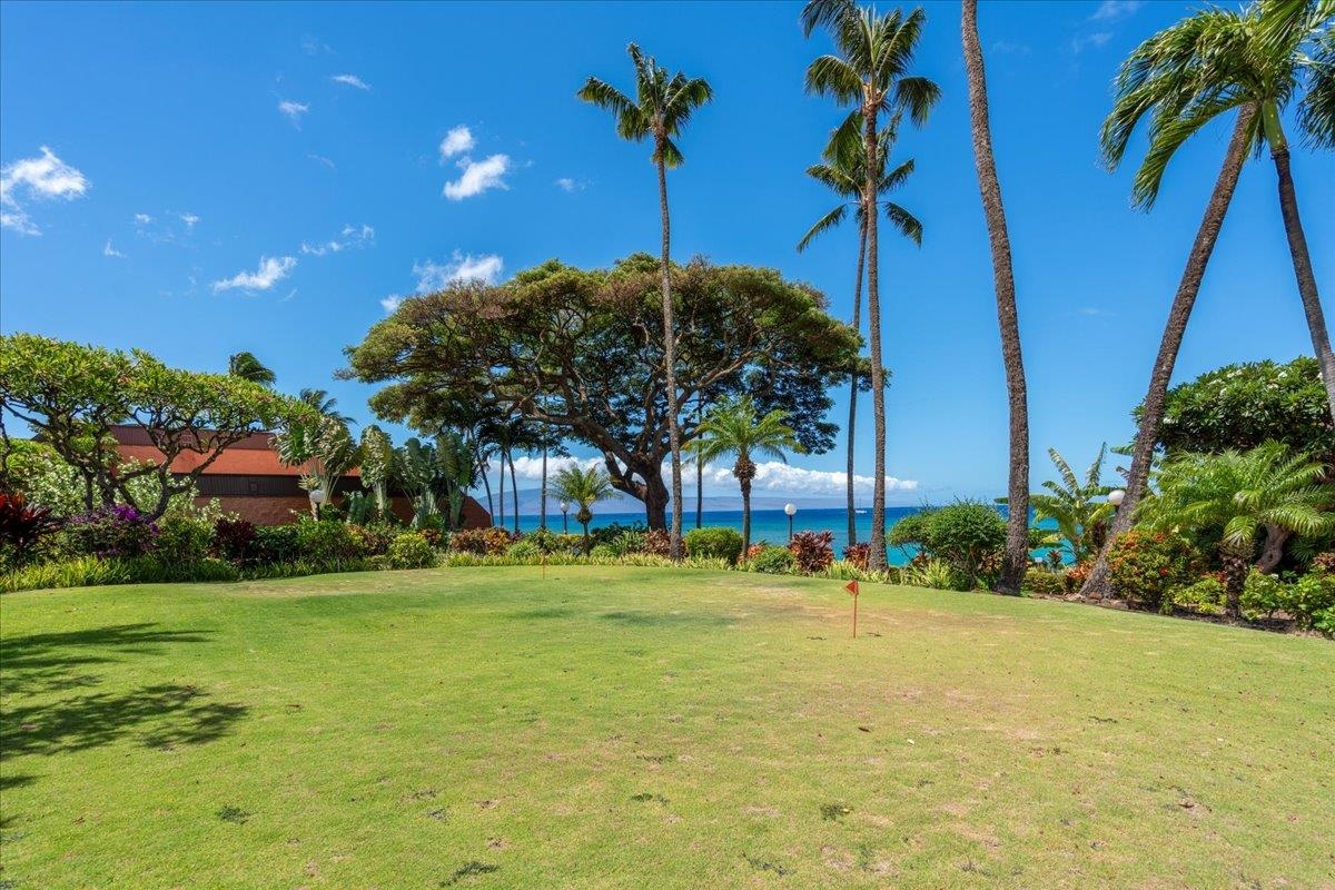 Kuleana II condo # 310, Lahaina, Hawaii - photo 26 of 30