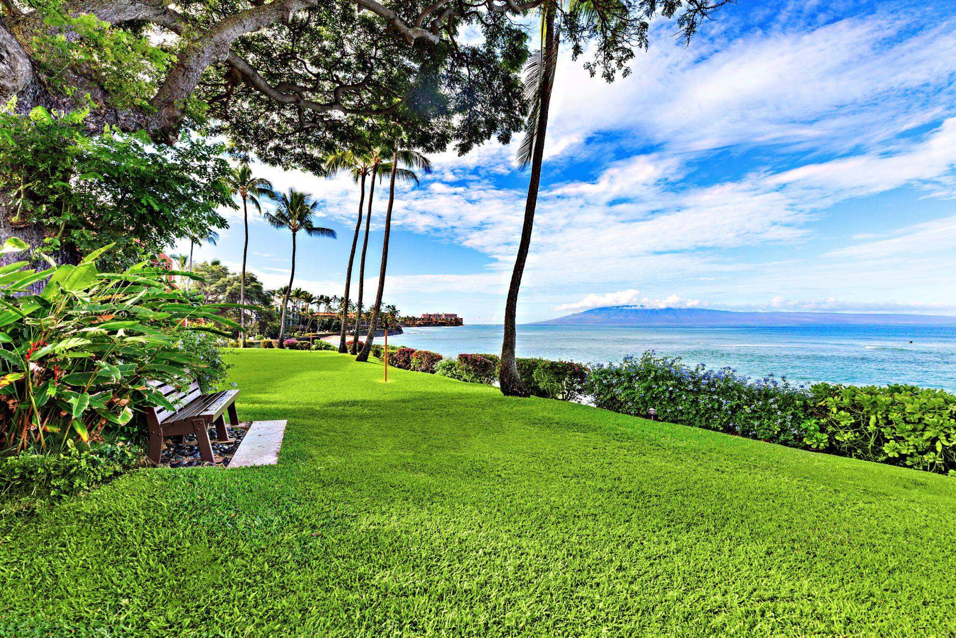 Kuleana II condo # 313, Lahaina, Hawaii - photo 30 of 41