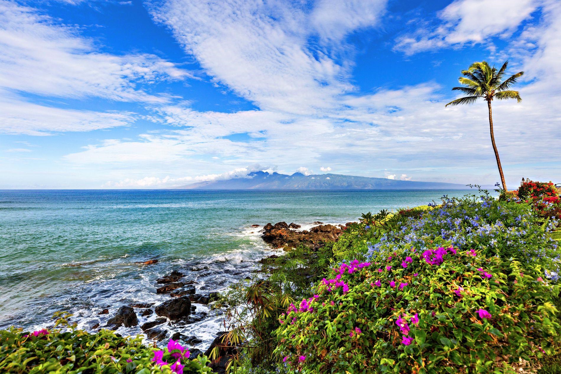 Kuleana II condo # 313, Lahaina, Hawaii - photo 32 of 41