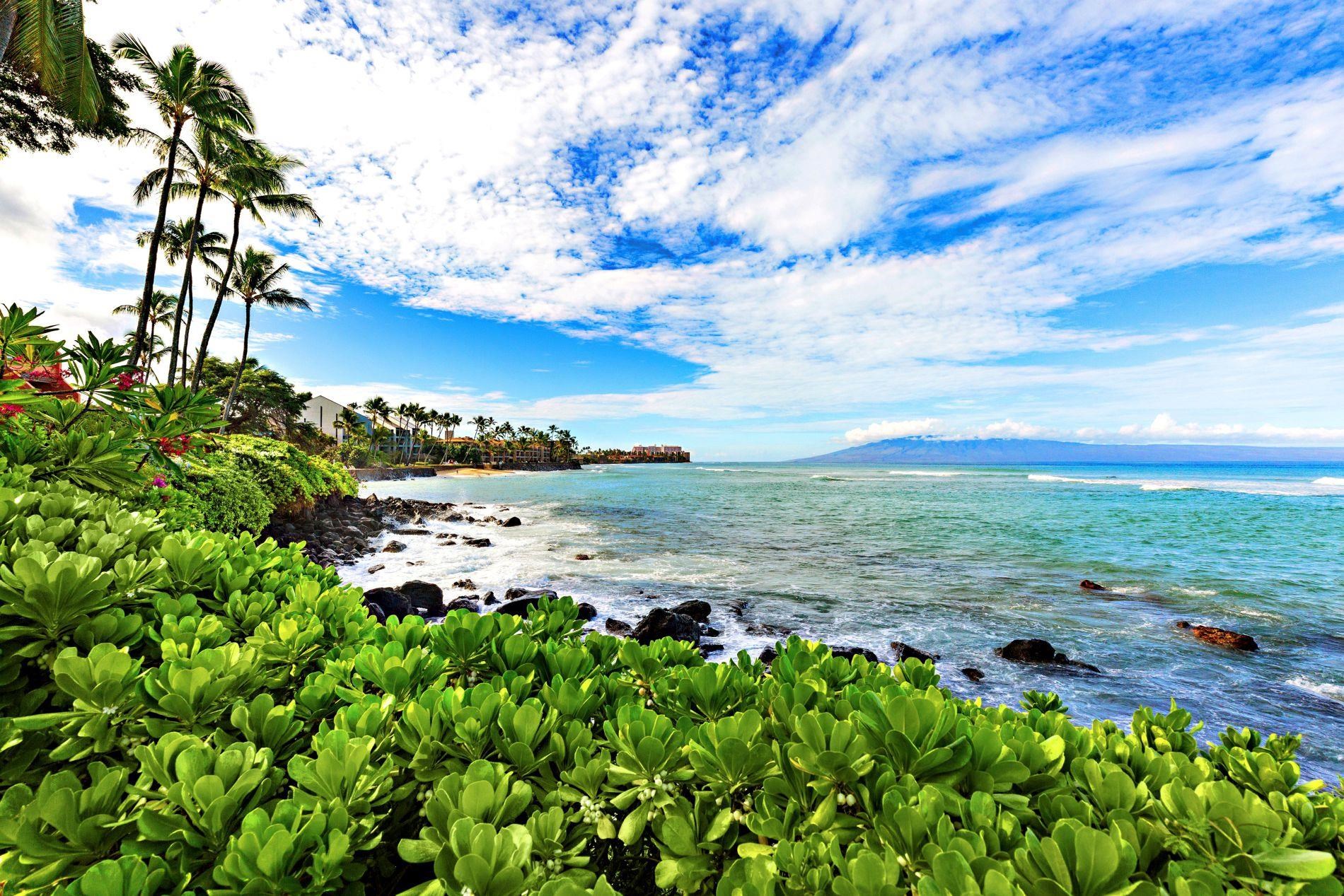 Kuleana II condo # 313, Lahaina, Hawaii - photo 33 of 41