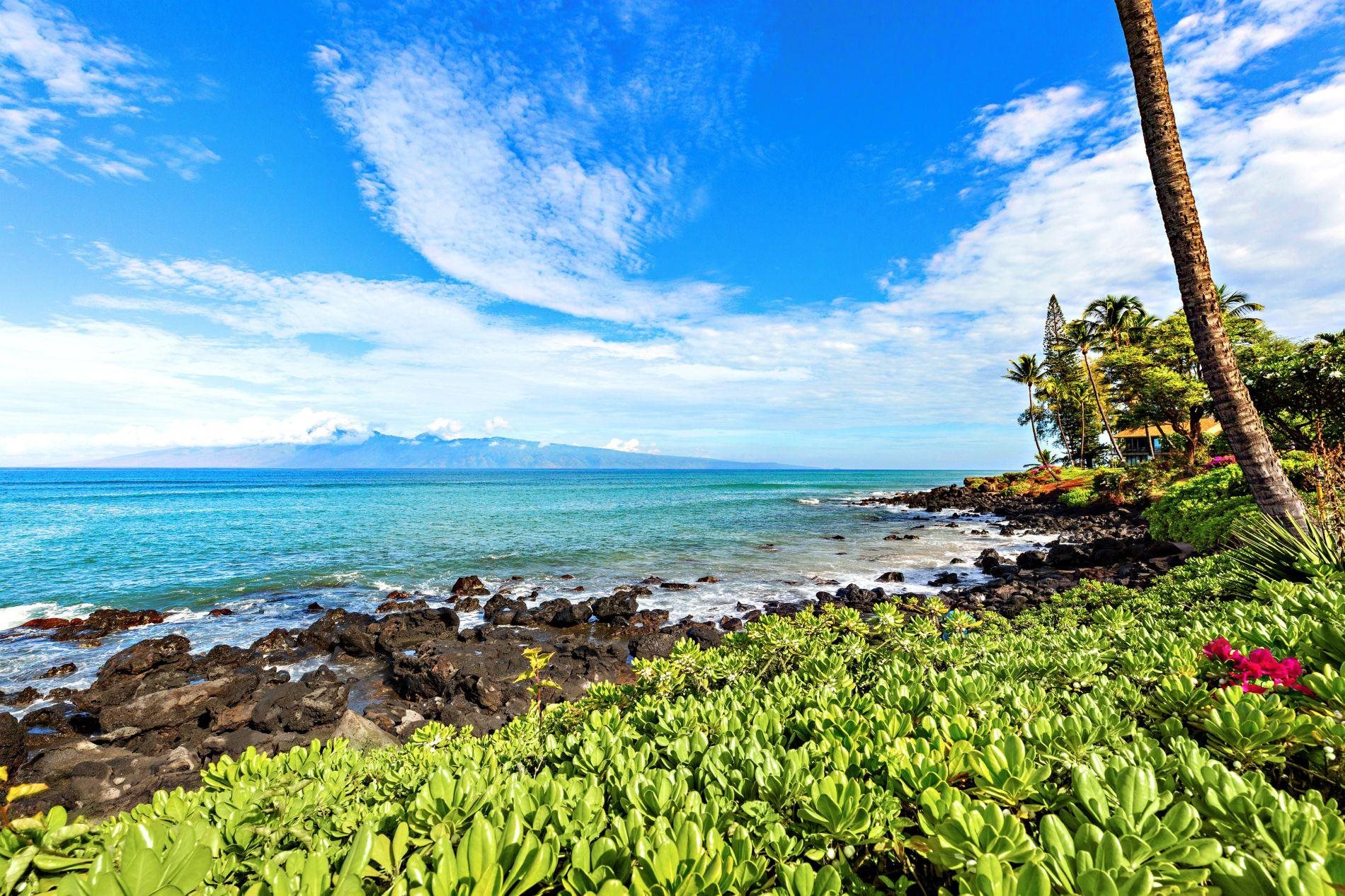 Kuleana II condo # 313, Lahaina, Hawaii - photo 34 of 41