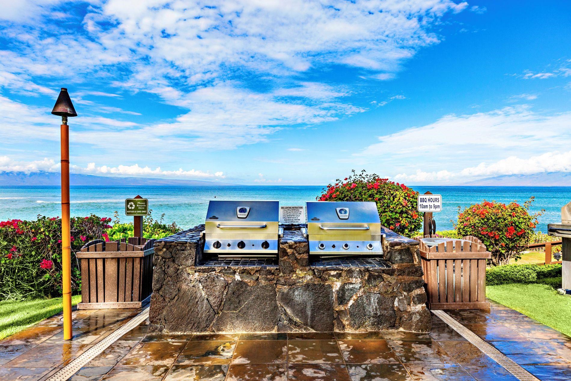 Kuleana II condo # 313, Lahaina, Hawaii - photo 35 of 41