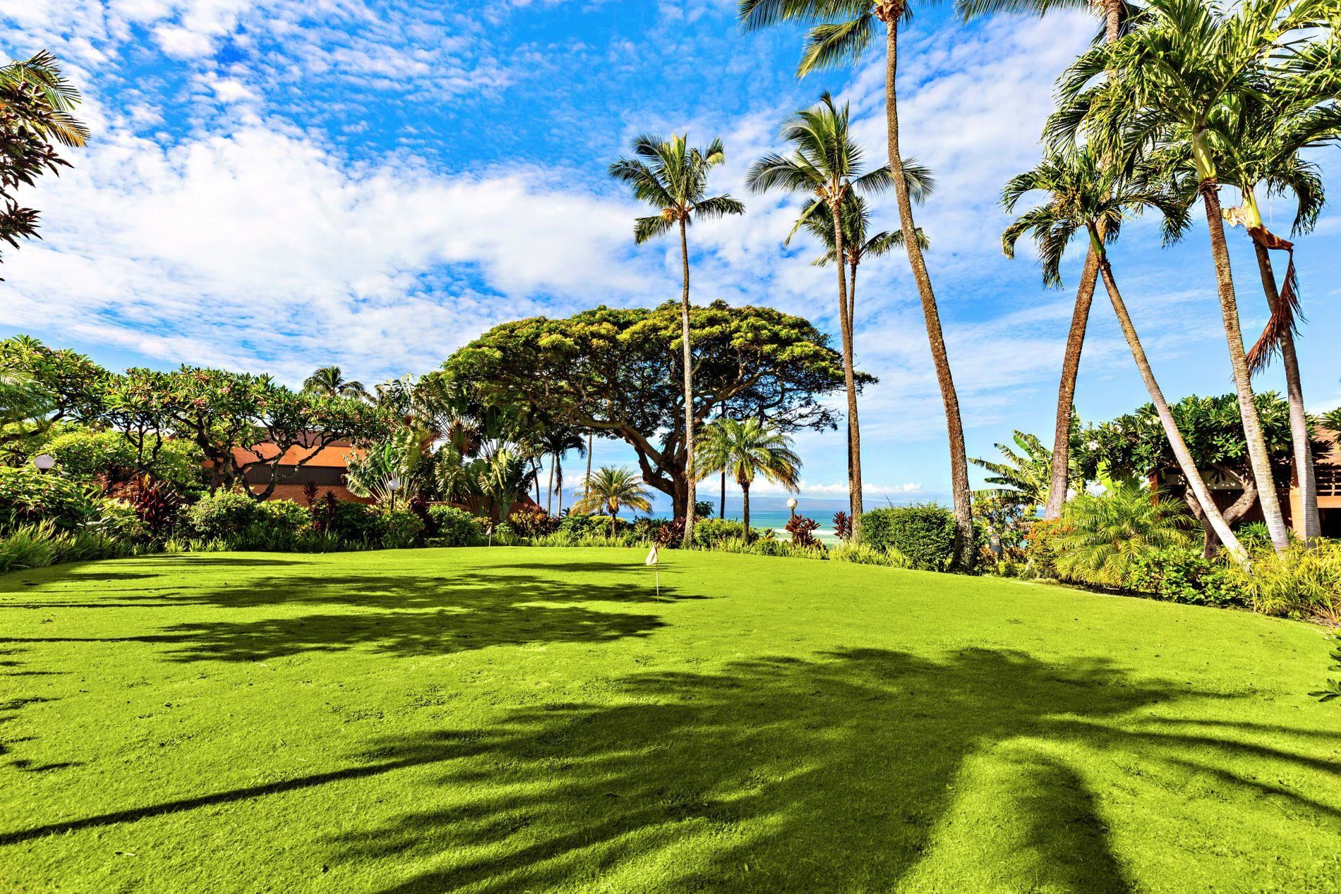 Kuleana II condo # 313, Lahaina, Hawaii - photo 37 of 41