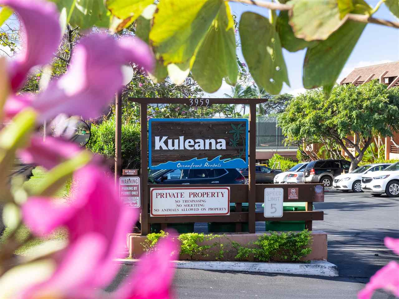 Kuleana II condo # 409, Lahaina, Hawaii - photo 22 of 28