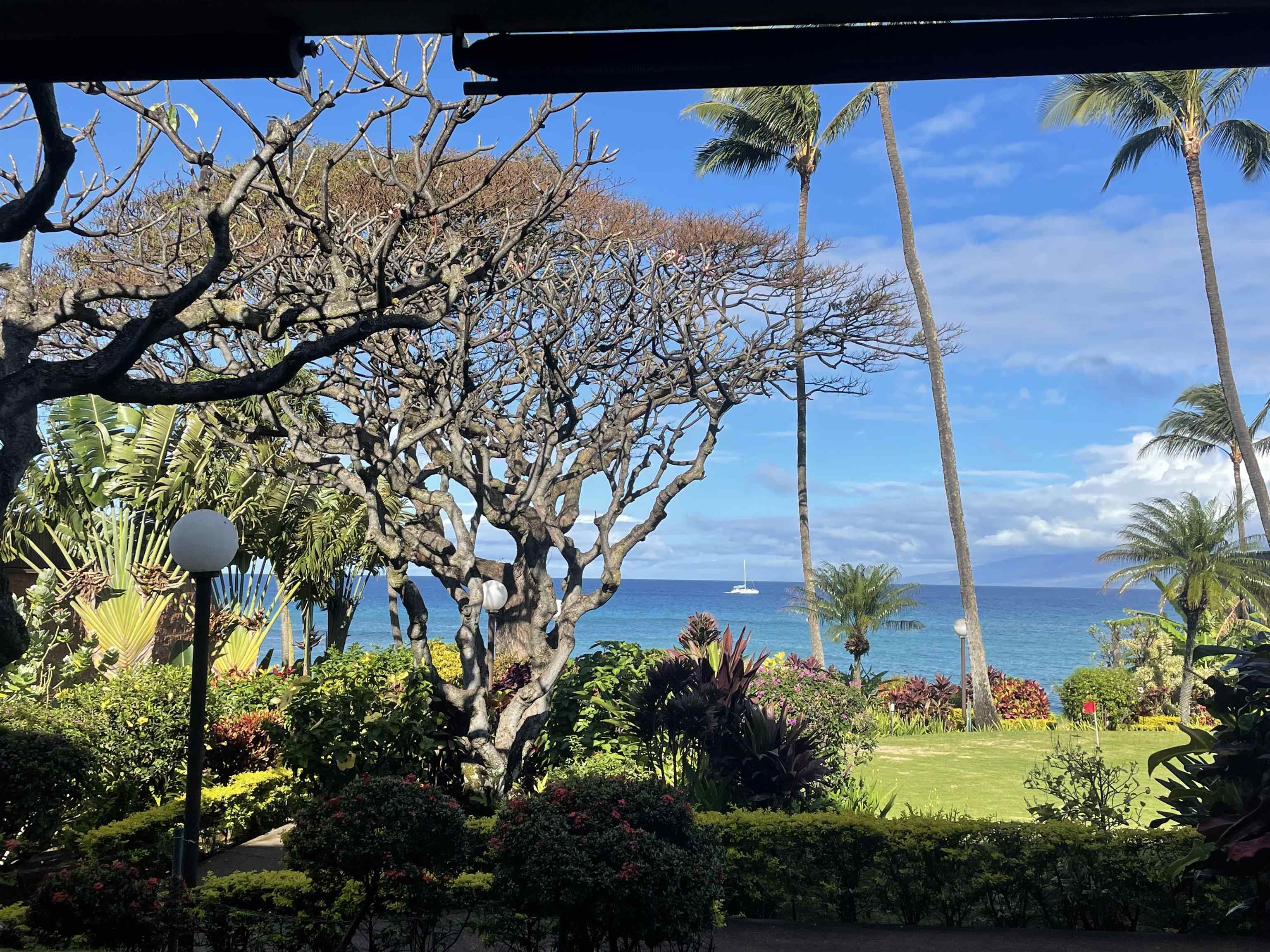 Kuleana II condo # 503, Lahaina, Hawaii - photo 36 of 47