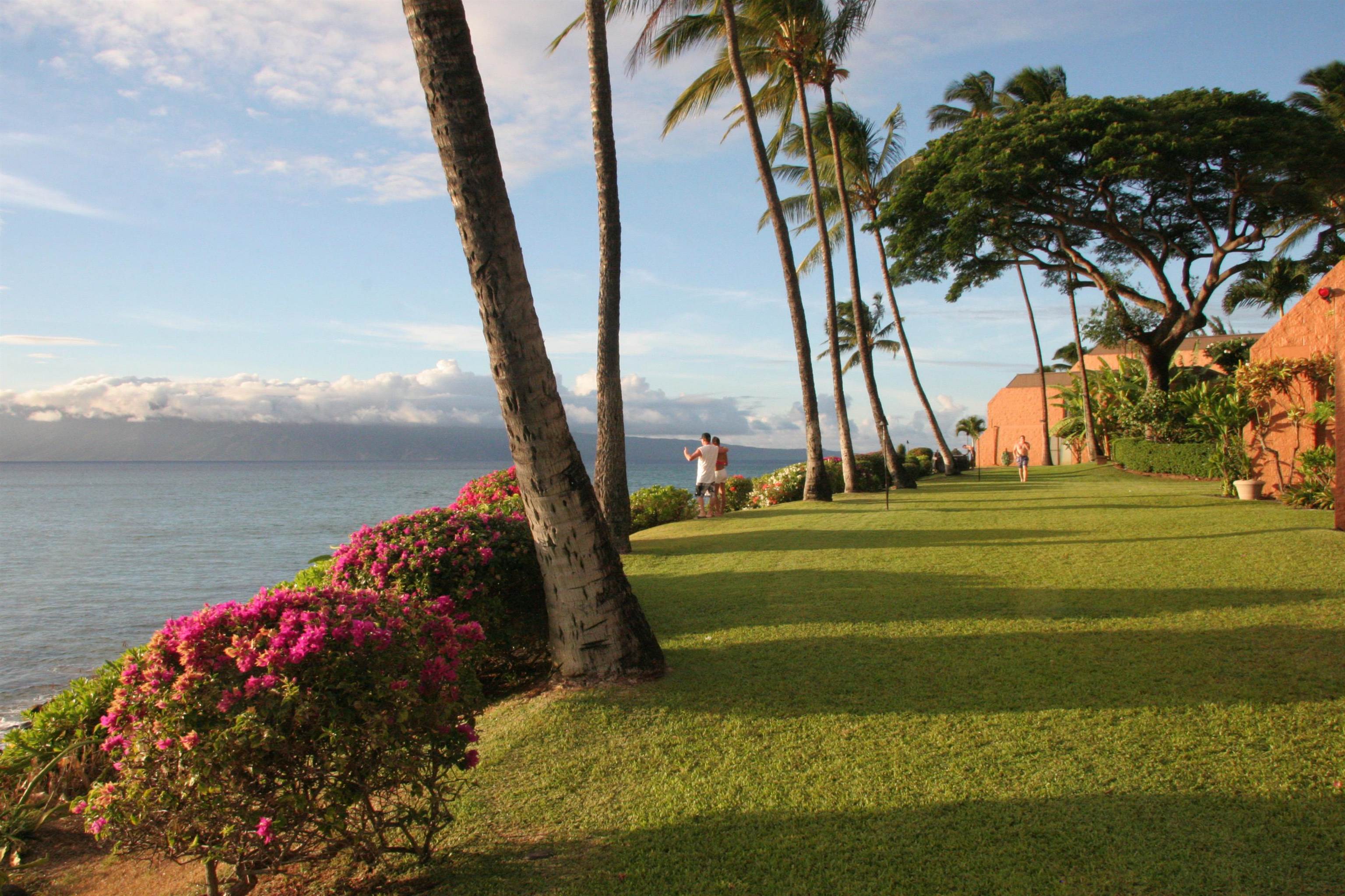 Kuleana II condo # 503, Lahaina, Hawaii - photo 38 of 47