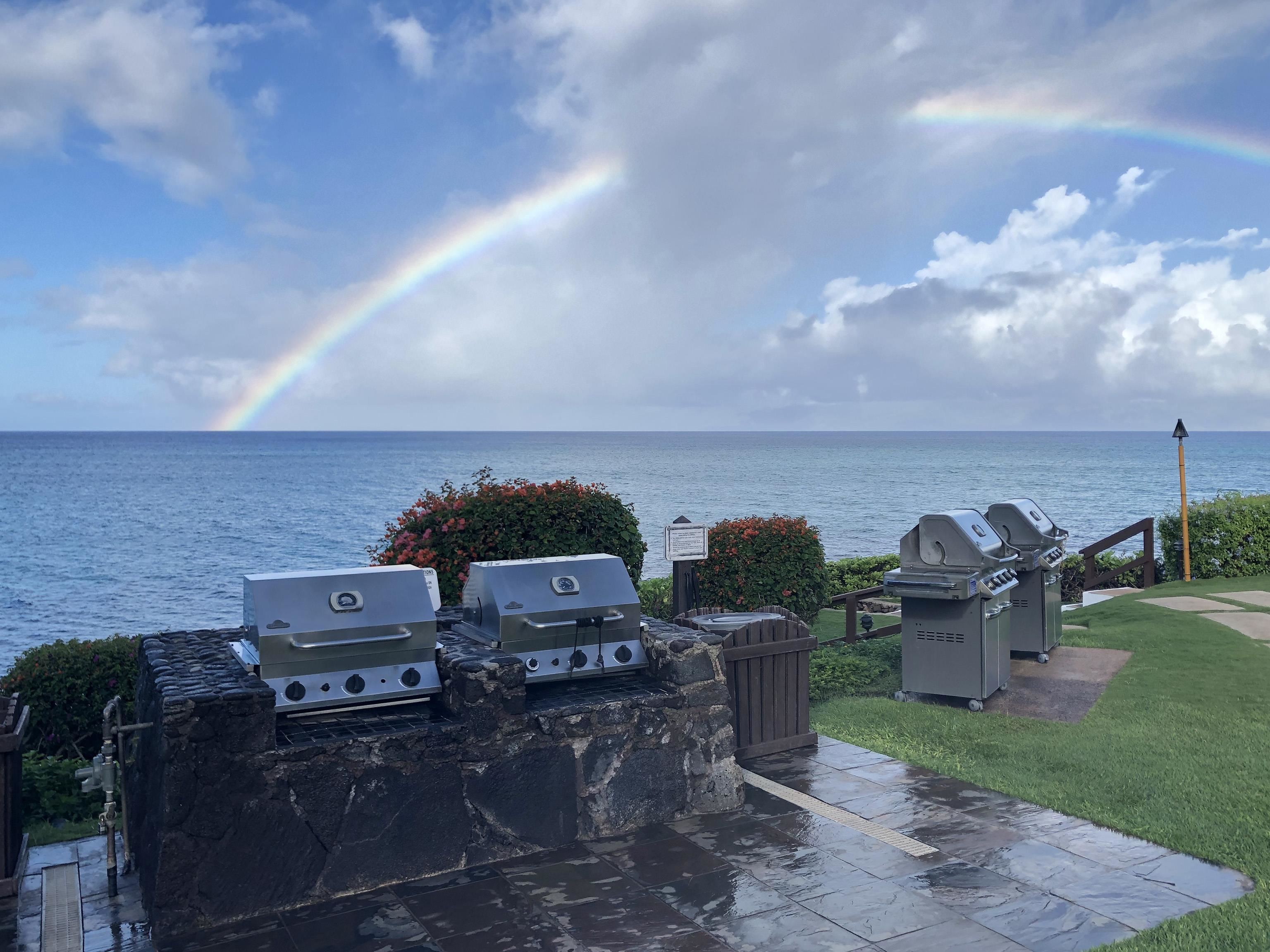 Kuleana II condo # 503, Lahaina, Hawaii - photo 42 of 47