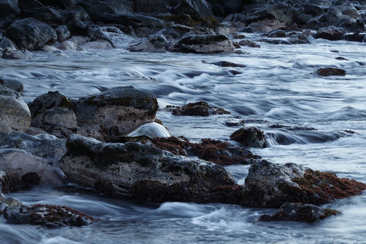 Kuleana II condo # 503, Lahaina, Hawaii - photo 44 of 47