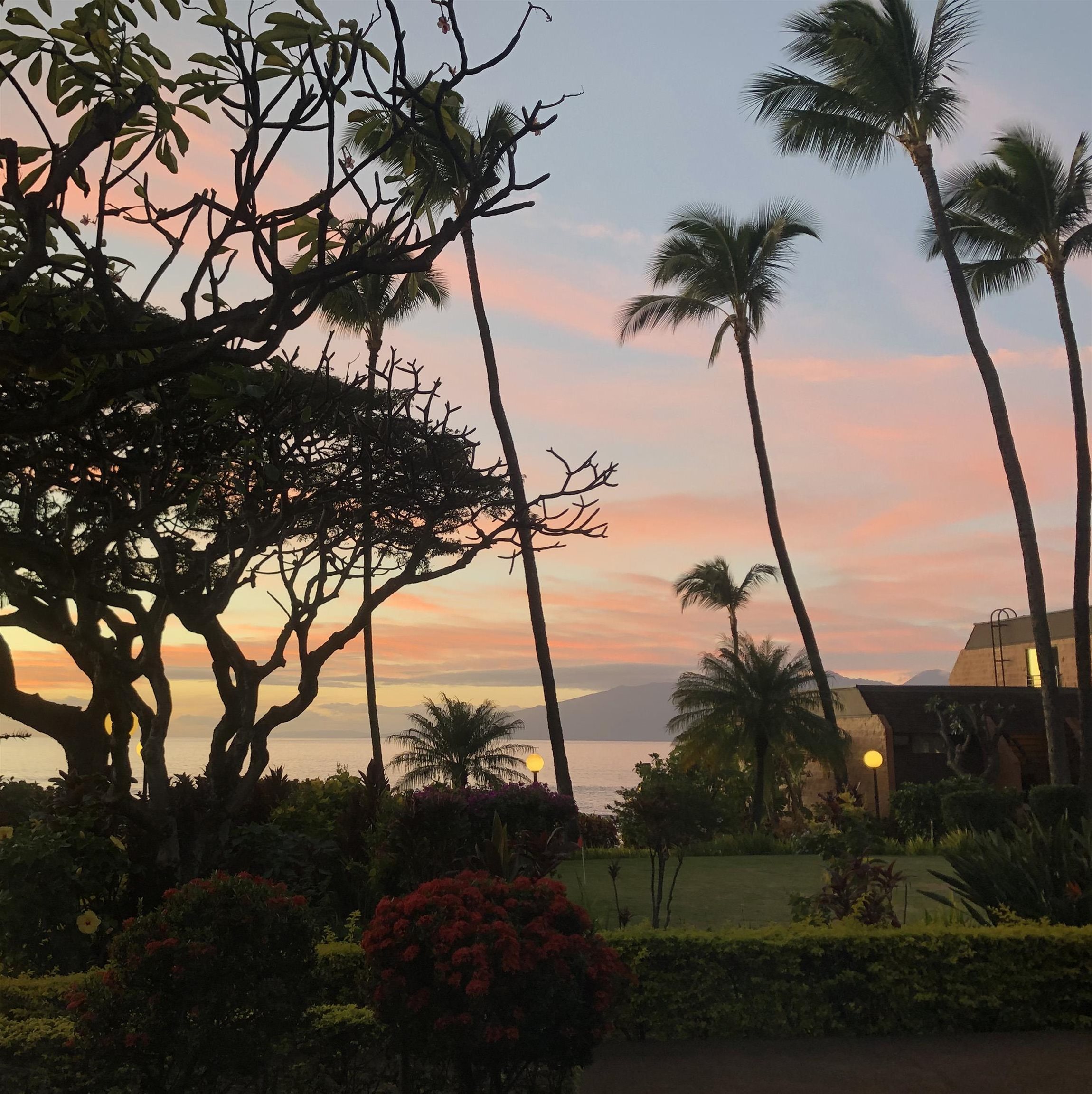 Kuleana II condo # 503, Lahaina, Hawaii - photo 46 of 47