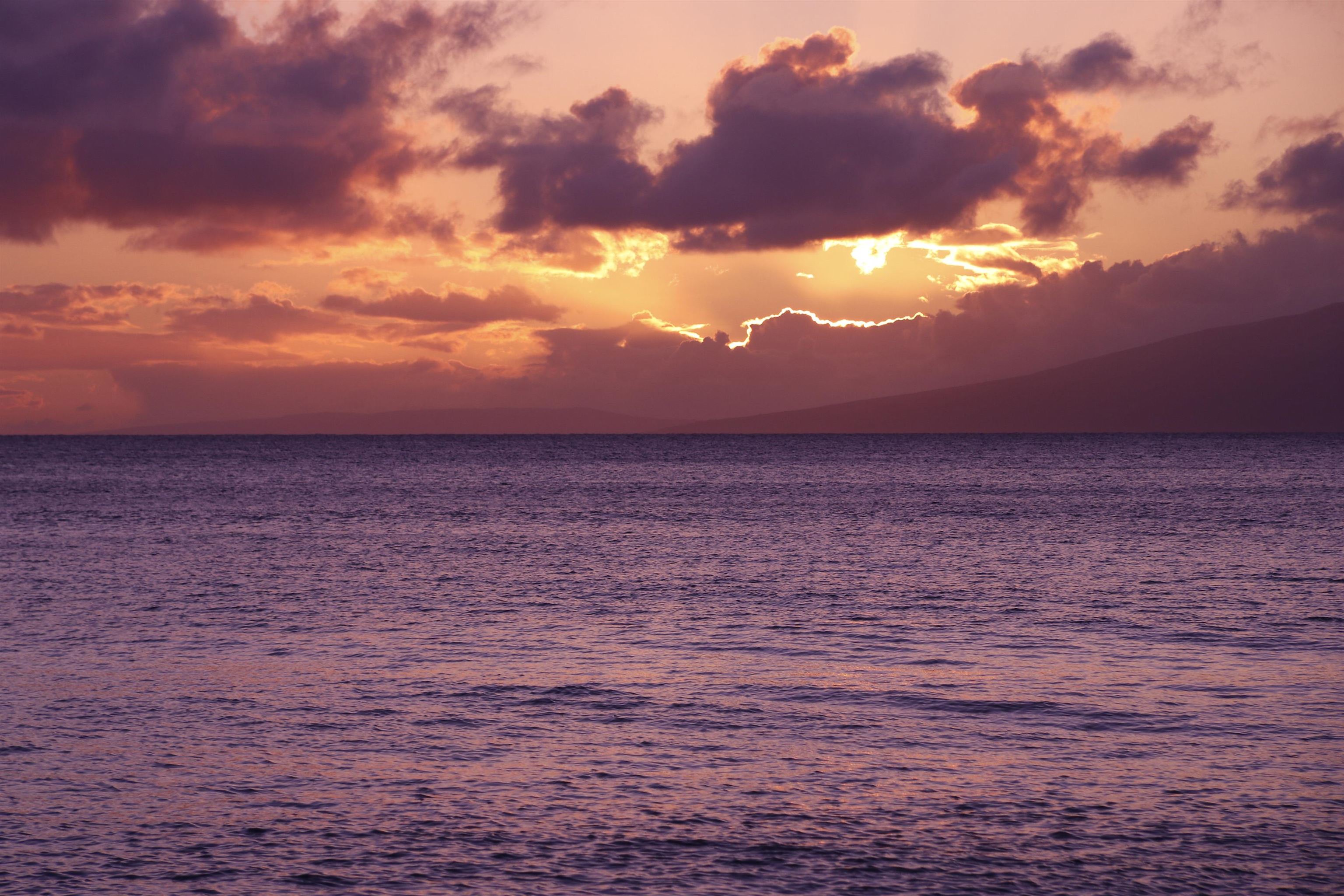 Kuleana II condo # 503, Lahaina, Hawaii - photo 47 of 47