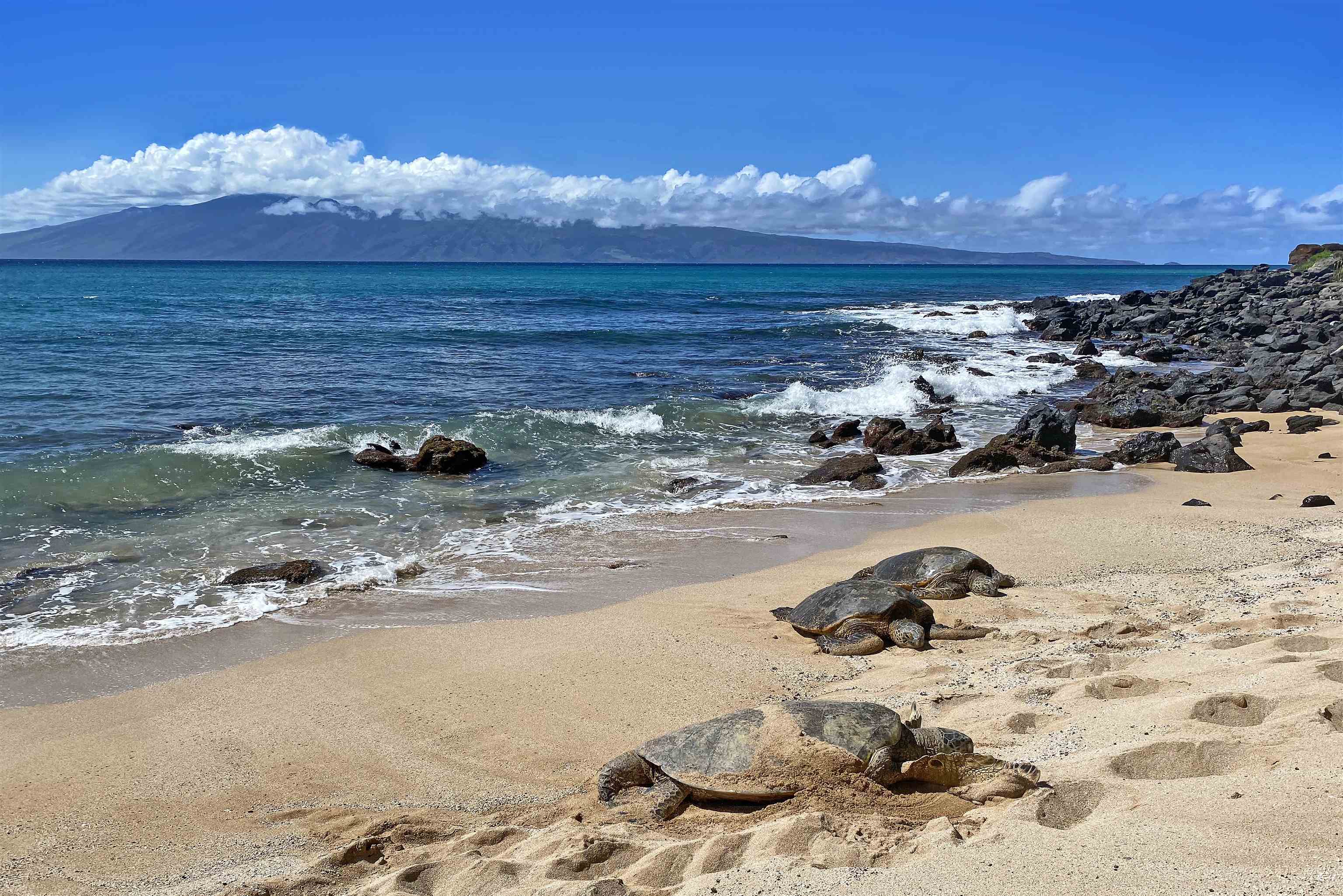 Kuleana II condo # 709, Lahaina, Hawaii - photo 20 of 30