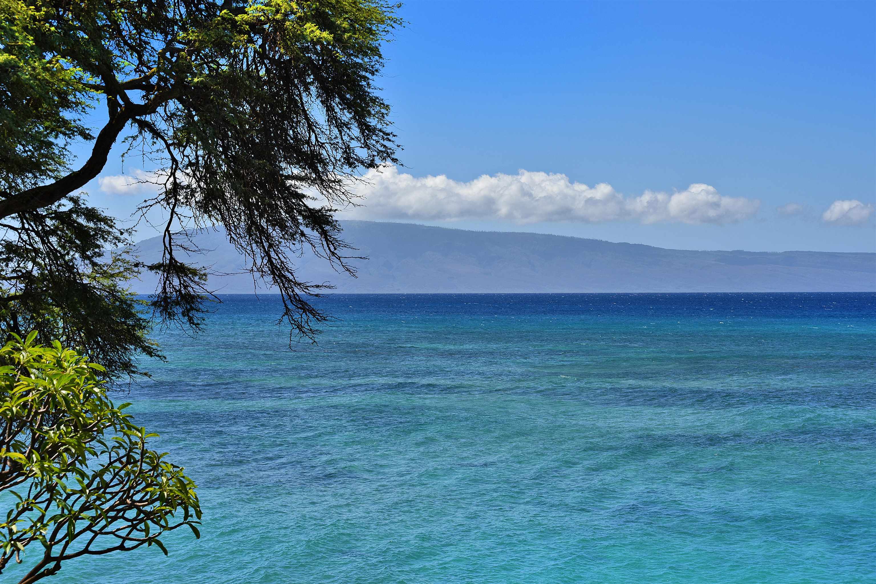 Kuleana II condo # 709, Lahaina, Hawaii - photo 4 of 30