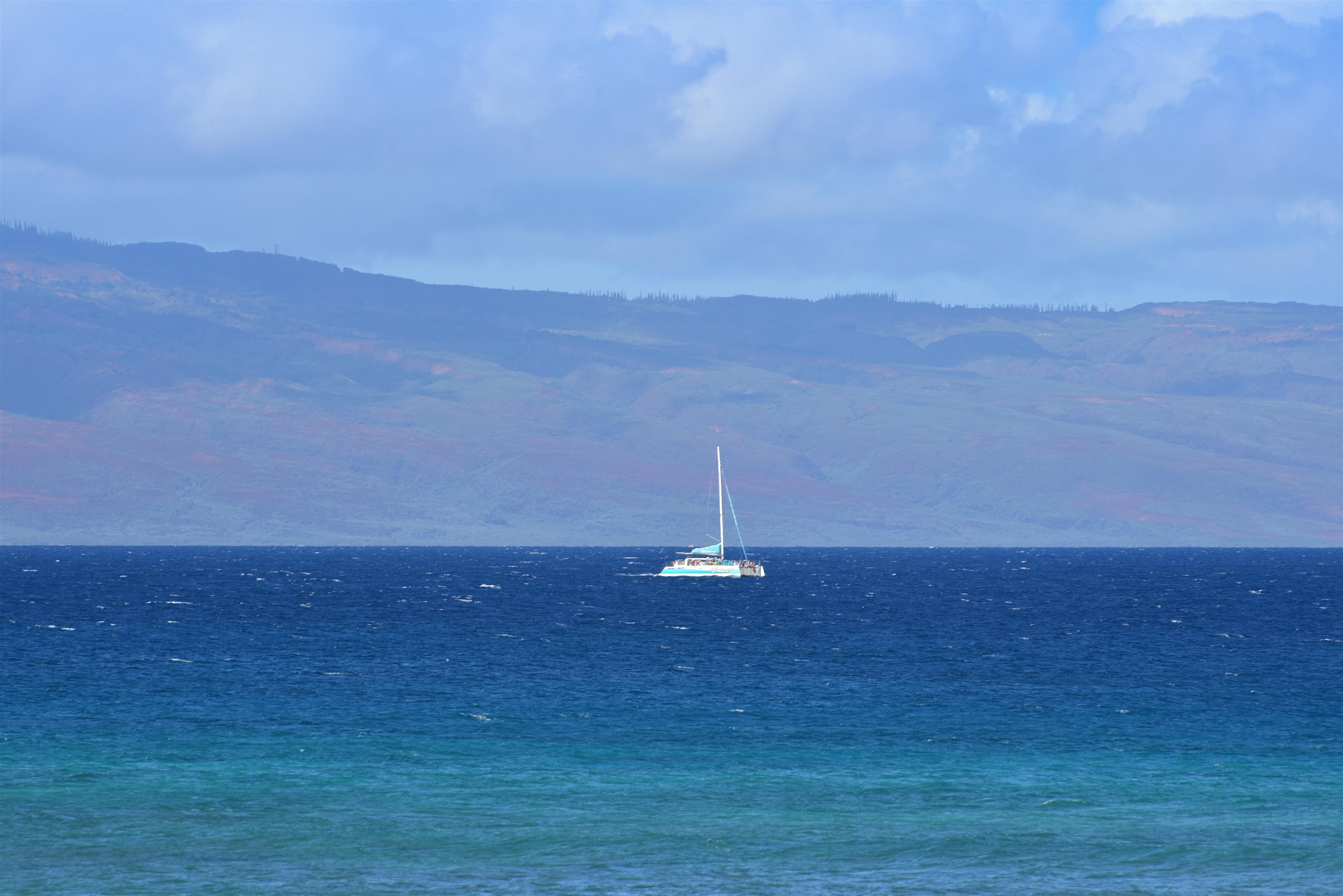 Kuleana II condo # 709, Lahaina, Hawaii - photo 5 of 30