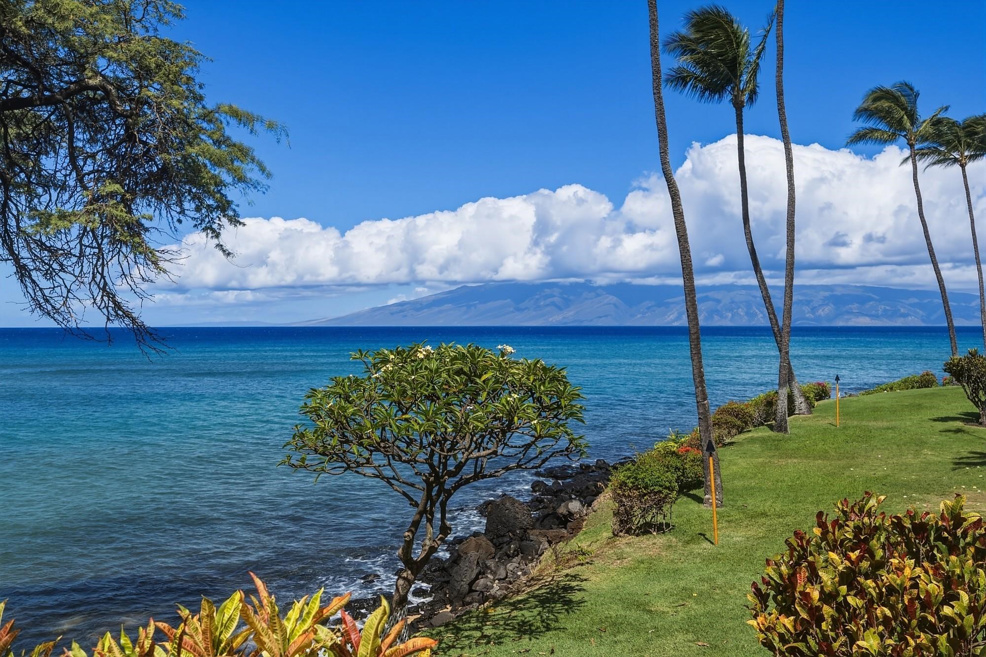 Kuleana II condo # 713, Lahaina, Hawaii - photo 30 of 50