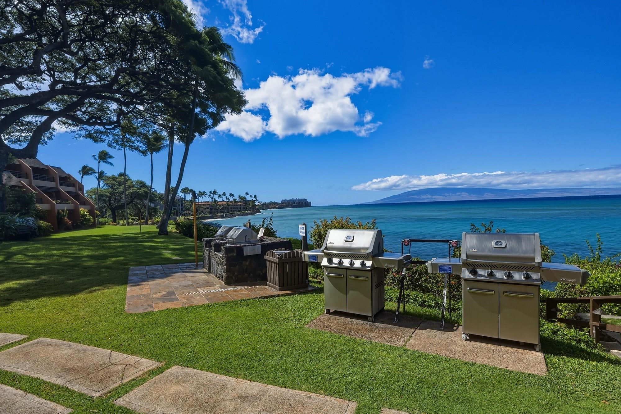 Kuleana II condo # 713, Lahaina, Hawaii - photo 41 of 50