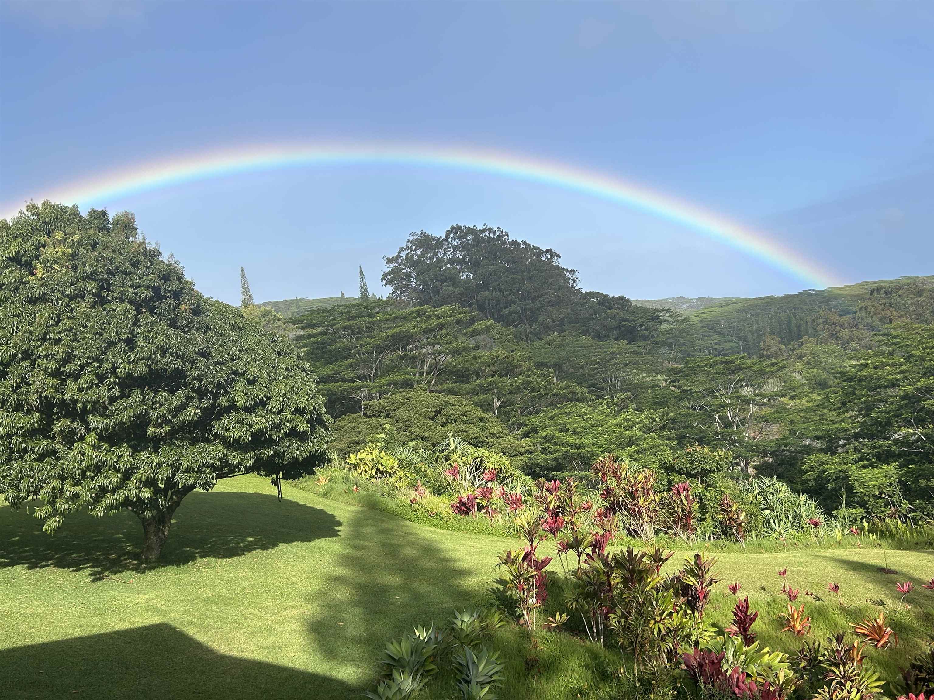 3969  Lepo St , Haiku home - photo 26 of 48