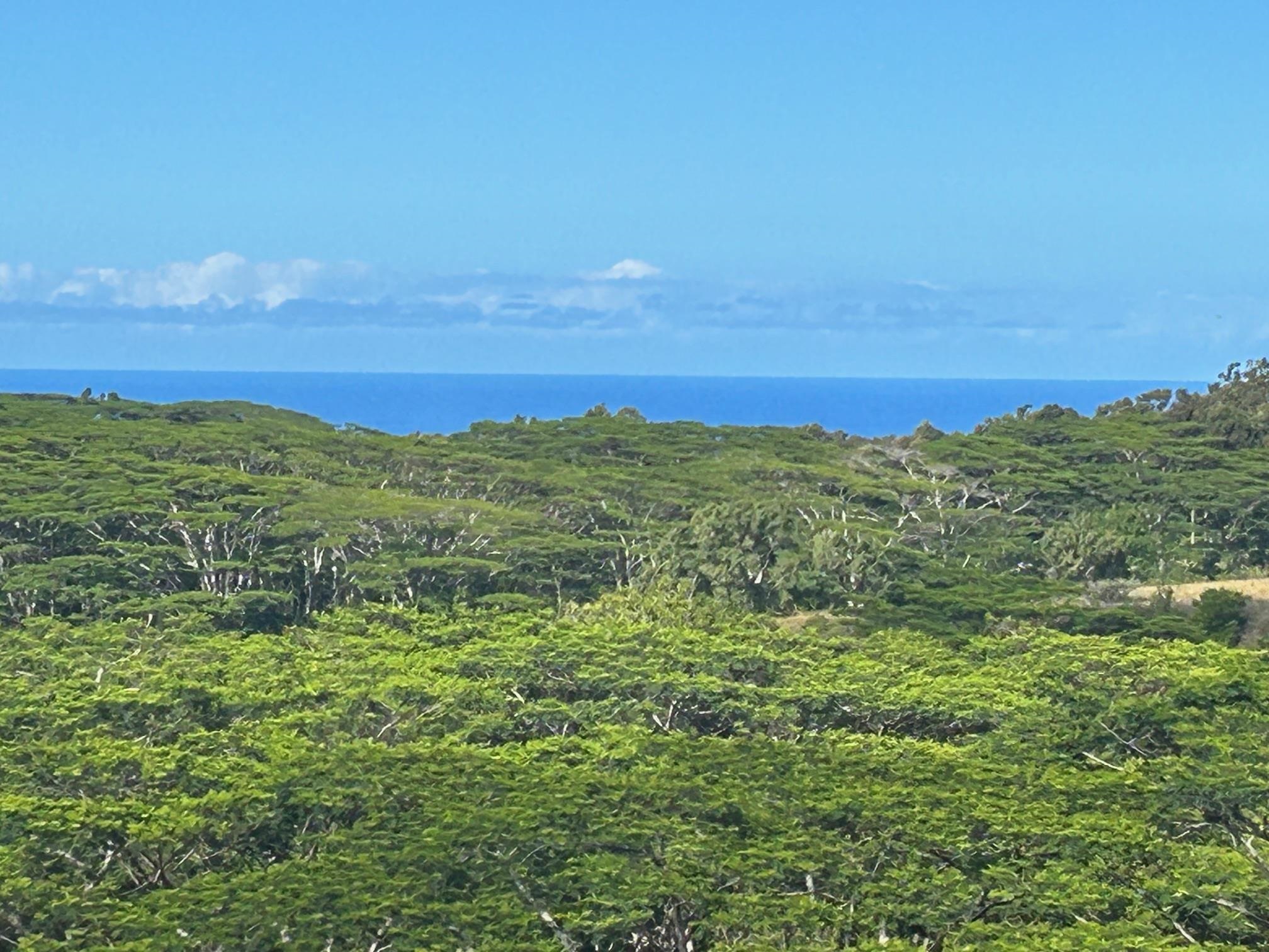 3969  Lepo St , Haiku home - photo 4 of 48