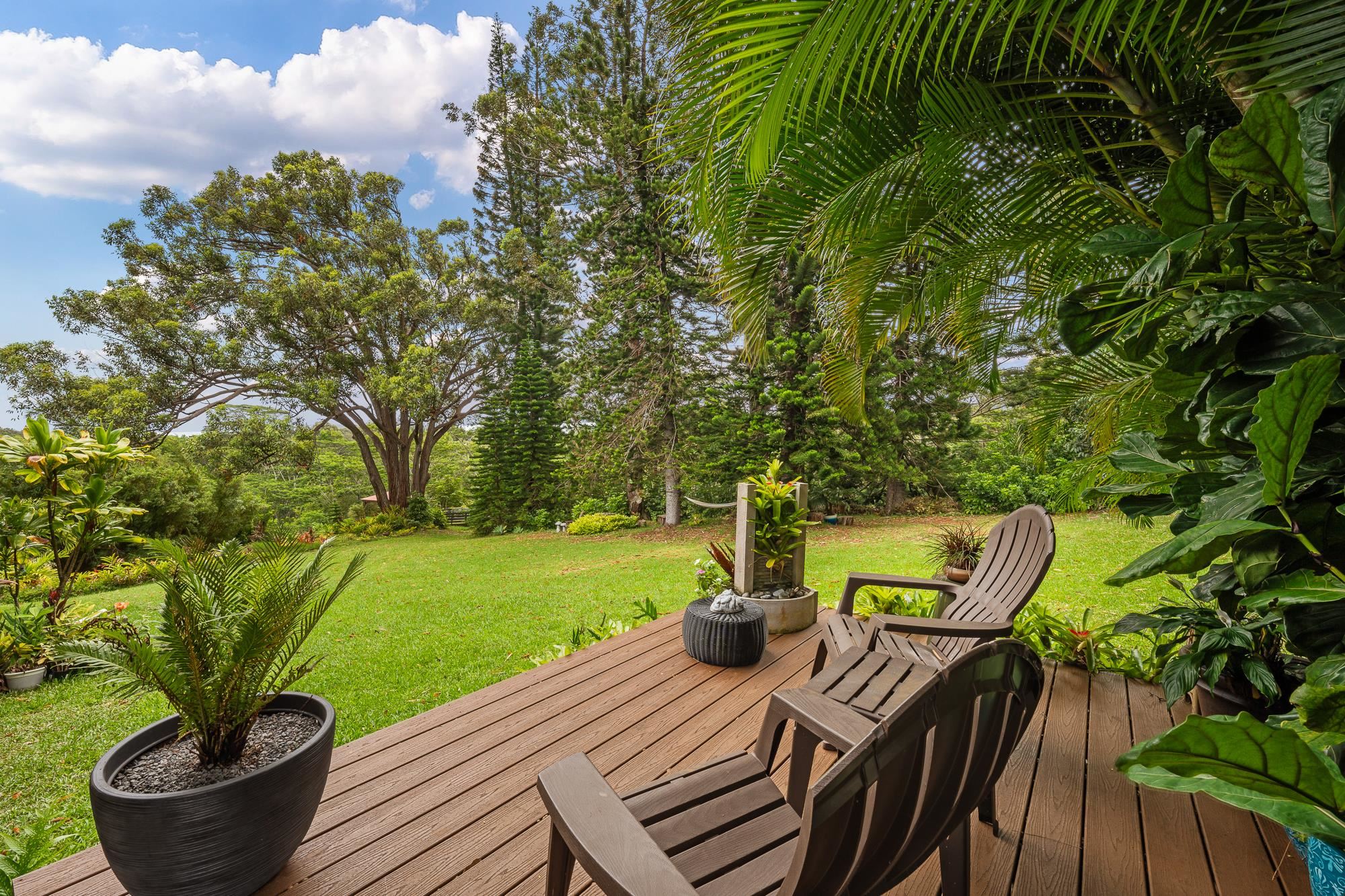 3969  Lepo St , Haiku home - photo 37 of 48