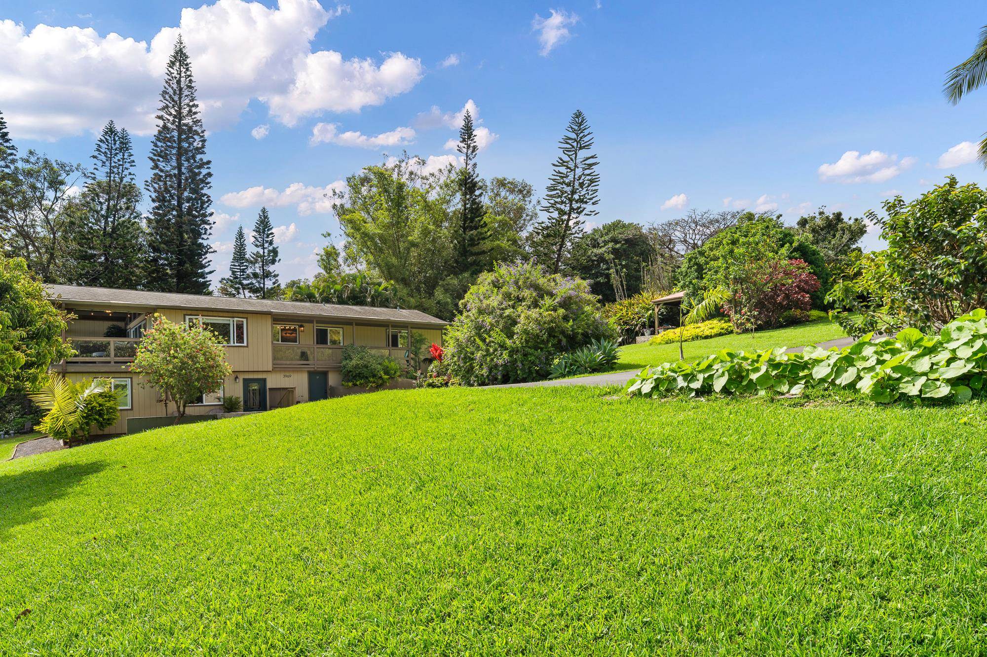 3969  Lepo St , Haiku home - photo 40 of 48