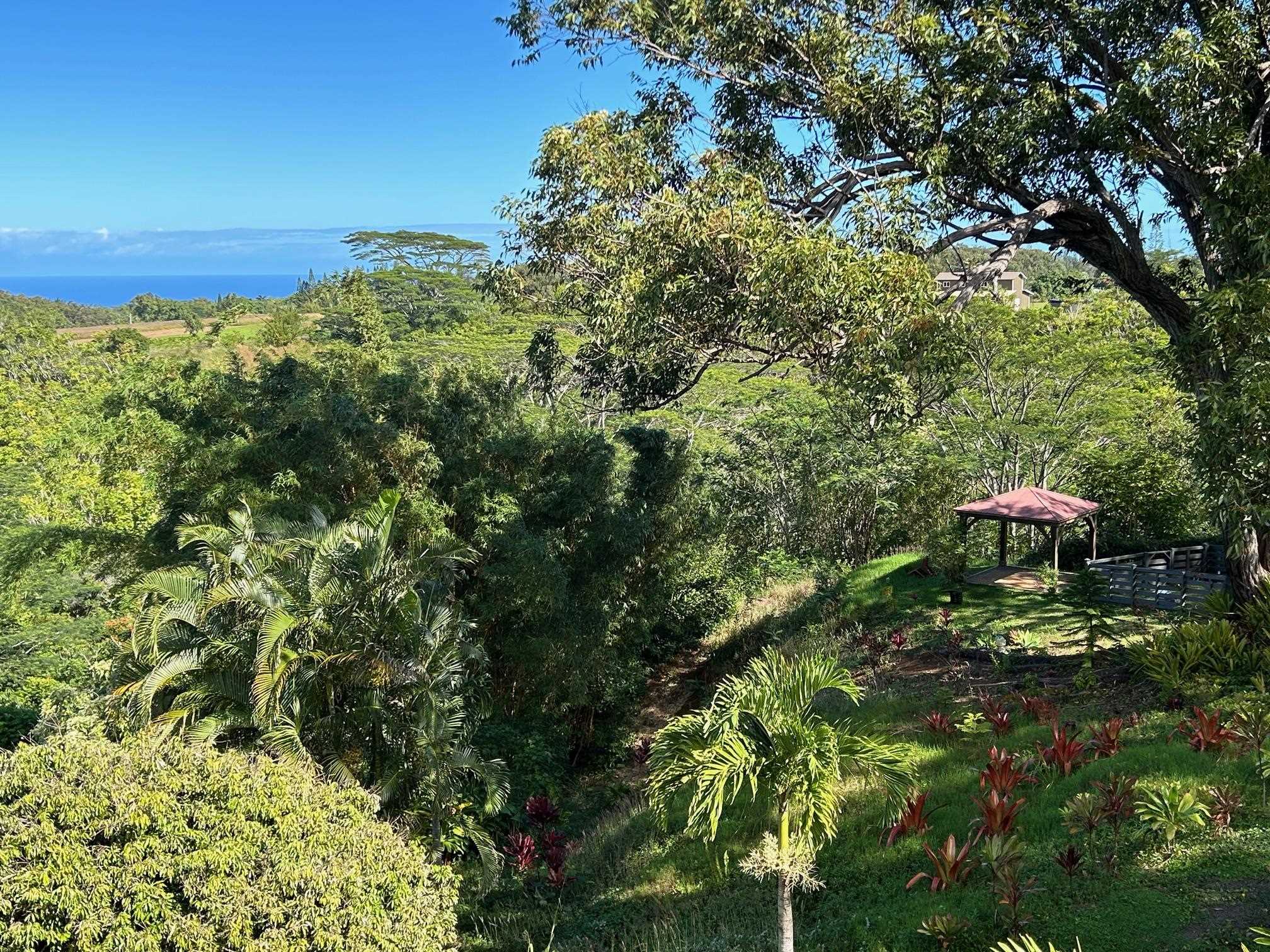 3969  Lepo St , Haiku home - photo 41 of 48