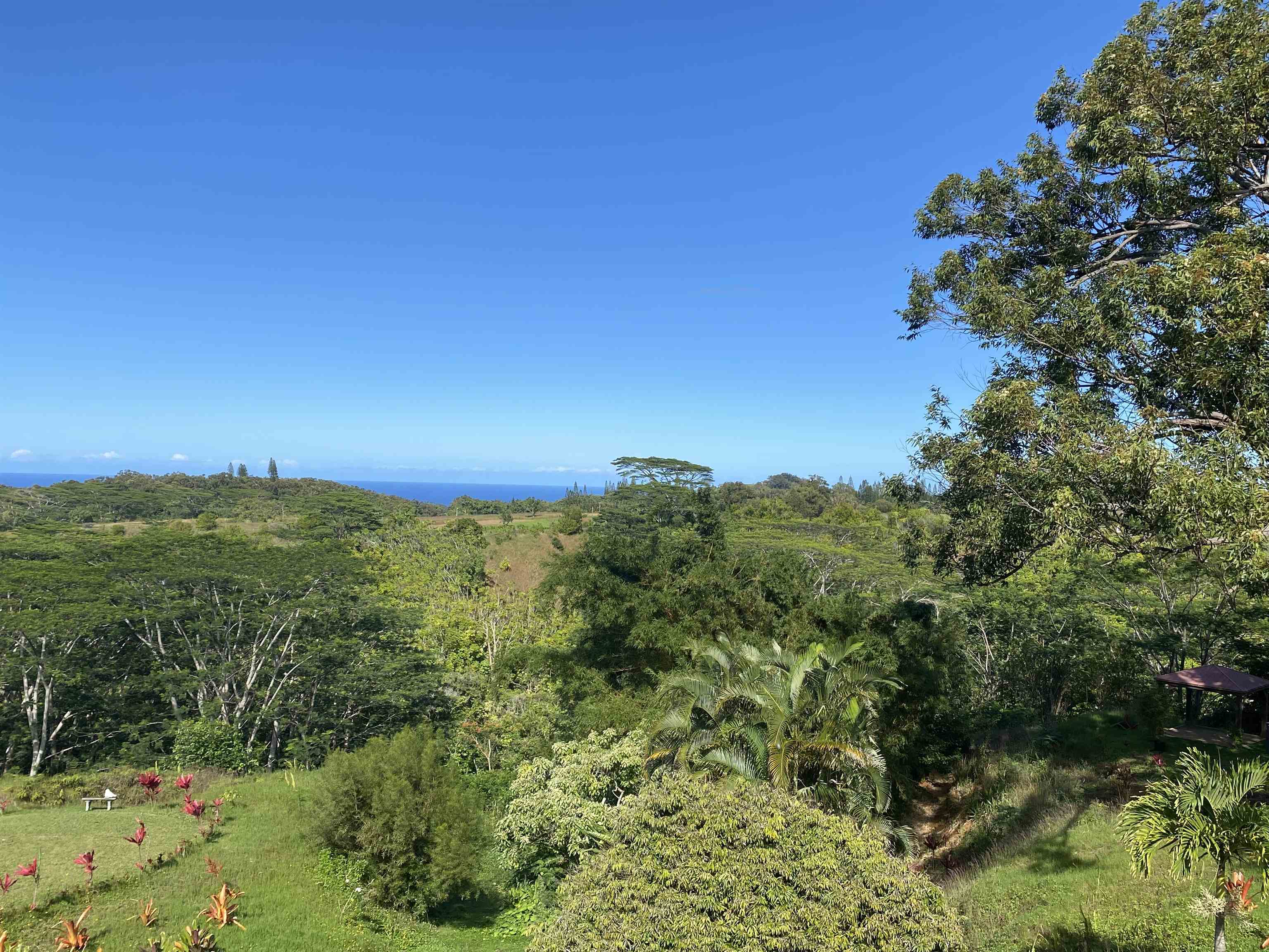 3969  Lepo St , Haiku home - photo 43 of 48