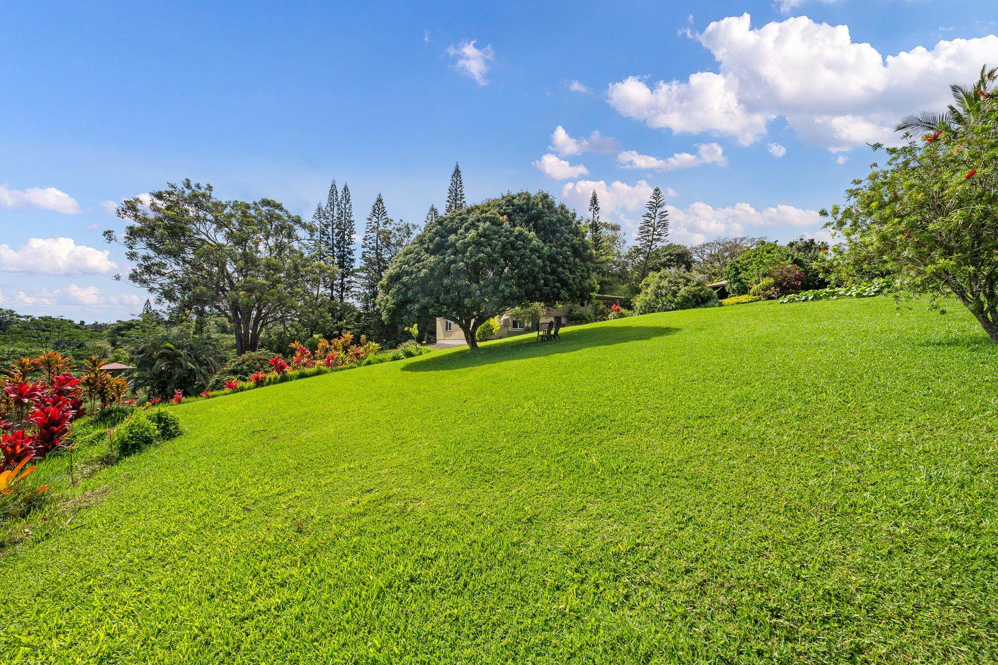 3969  Lepo St , Haiku home - photo 45 of 48