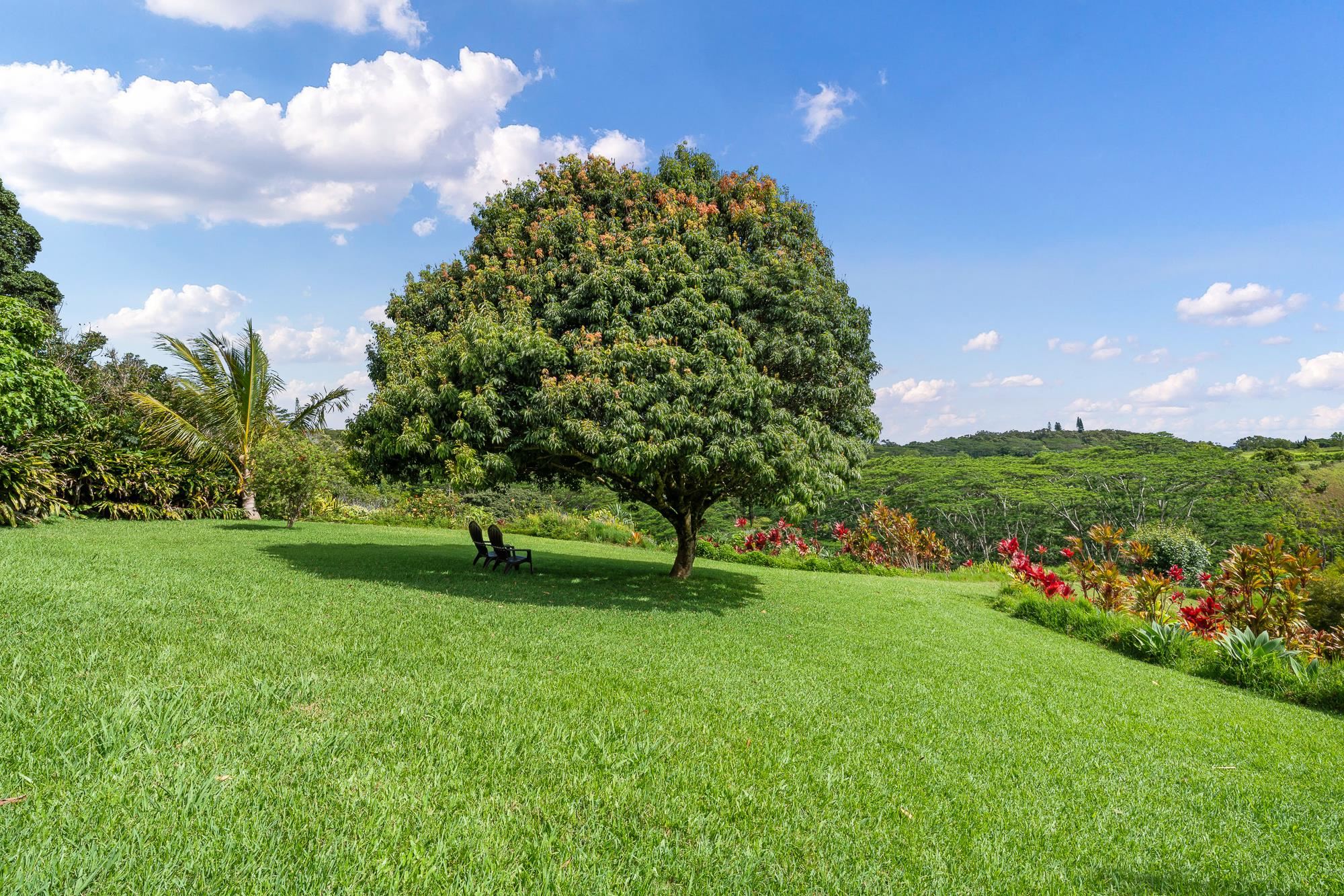 3969  Lepo St , Haiku home - photo 46 of 48