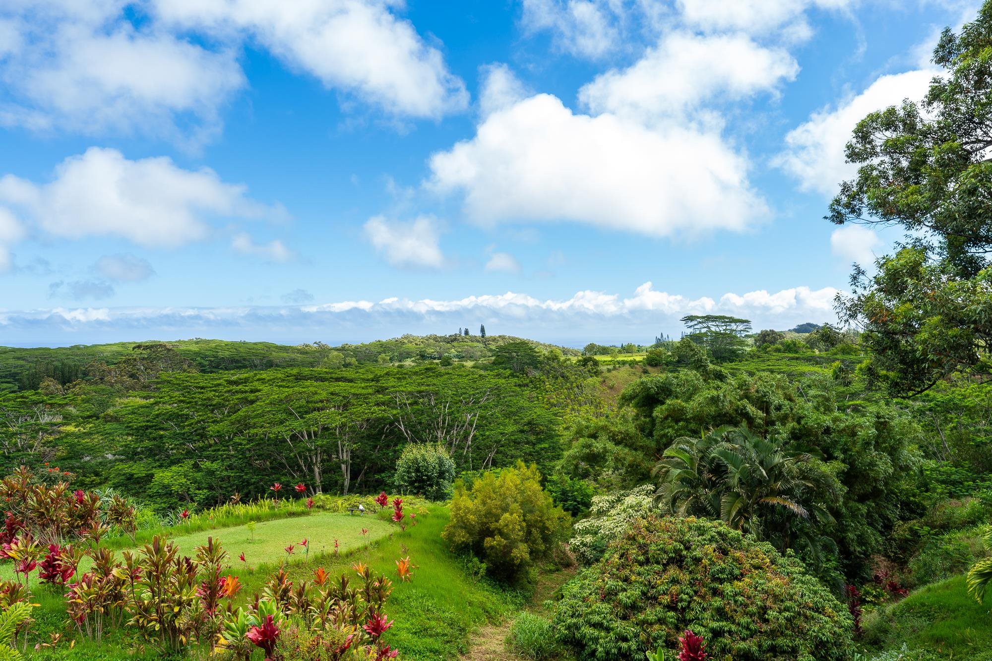 3969  Lepo St , Haiku home - photo 47 of 48