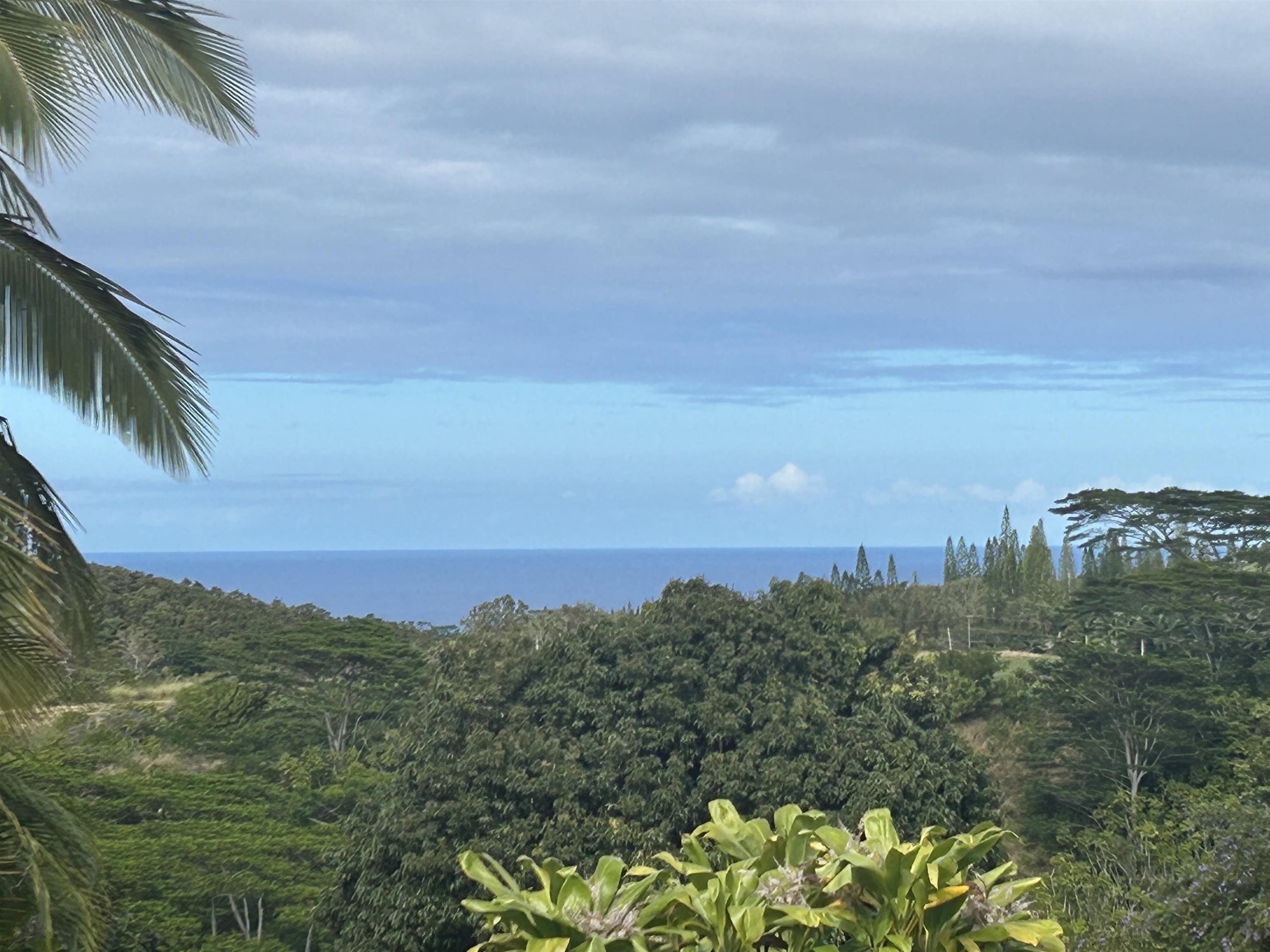 3969  Lepo St , Haiku home - photo 48 of 48