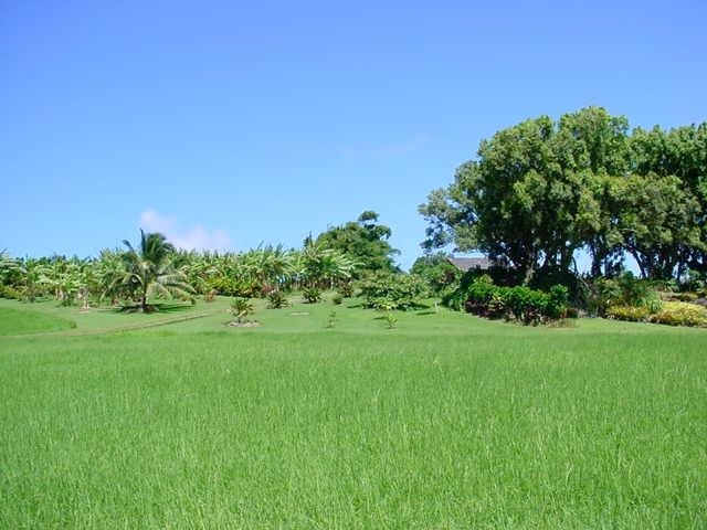 39698  Hana Hwy Kipahulu, Hana home - photo 25 of 30