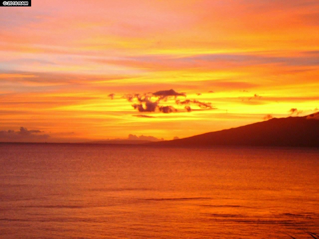 Polynesian Shores condo # 101, Lahaina, Hawaii - photo 30 of 30
