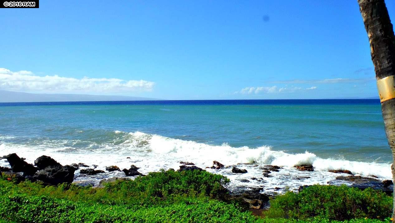 Polynesian Shores condo # 101, Lahaina, Hawaii - photo 4 of 30