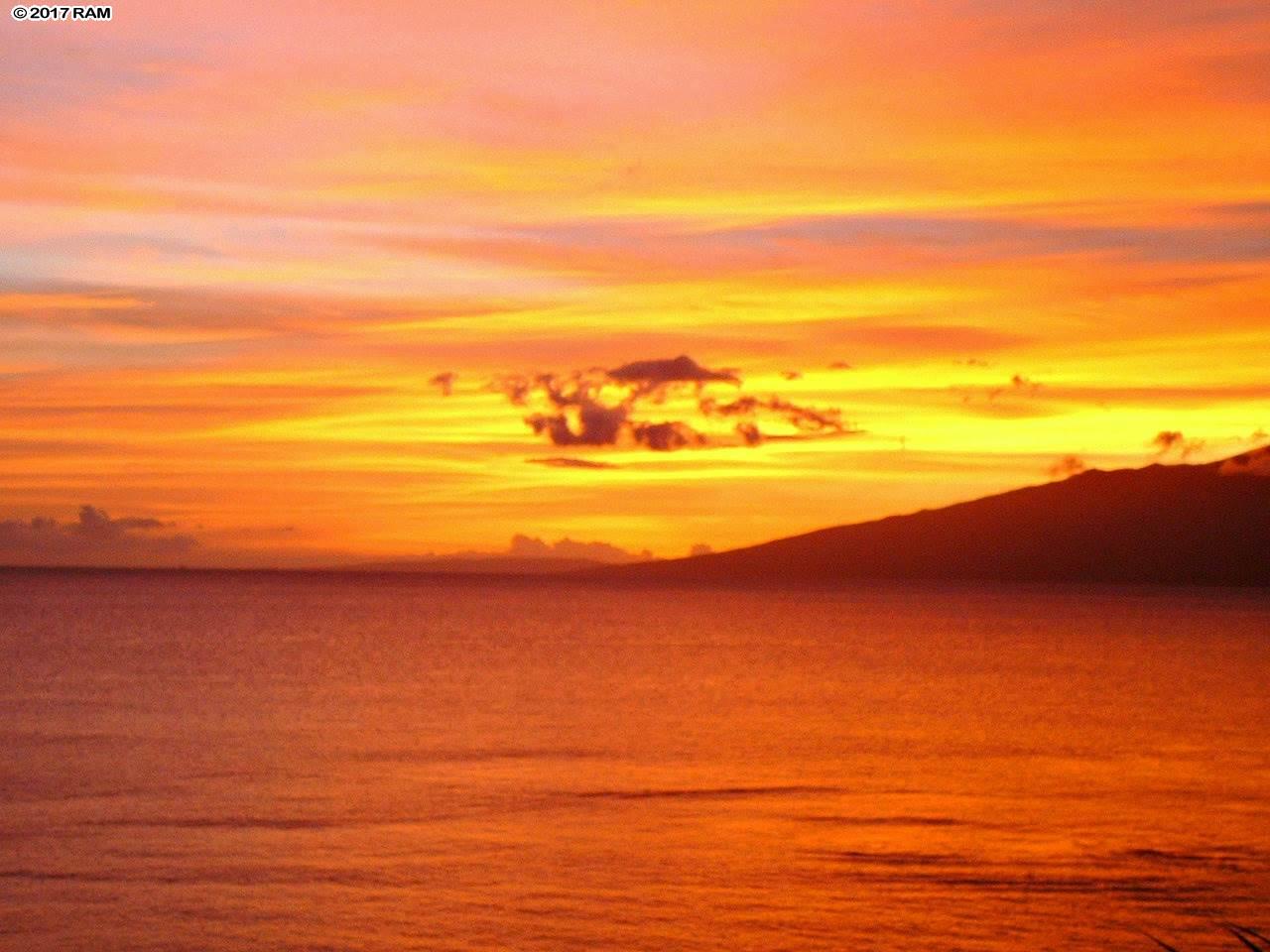 Polynesian Shores condo # 103, Lahaina, Hawaii - photo 30 of 30