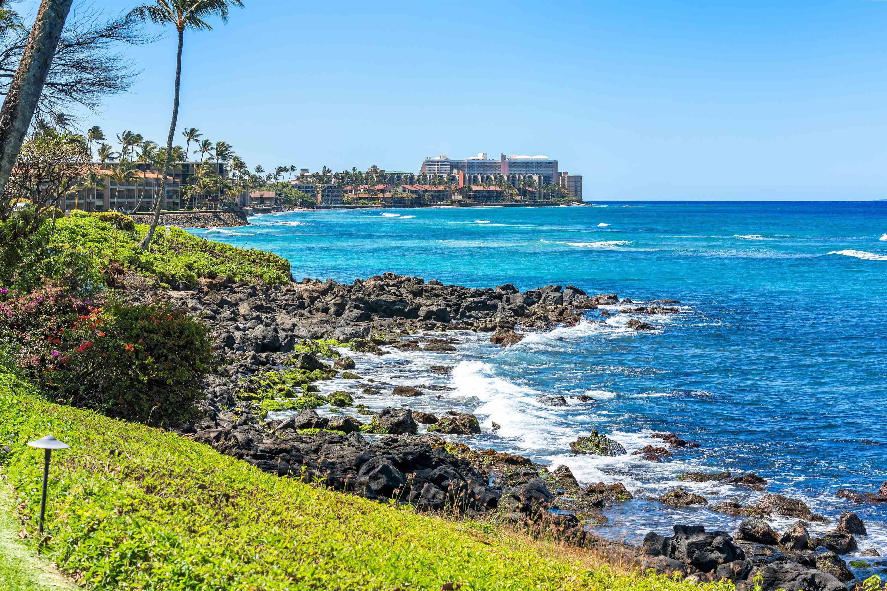 Polynesian Shores condo # 107, Lahaina, Hawaii - photo 21 of 33