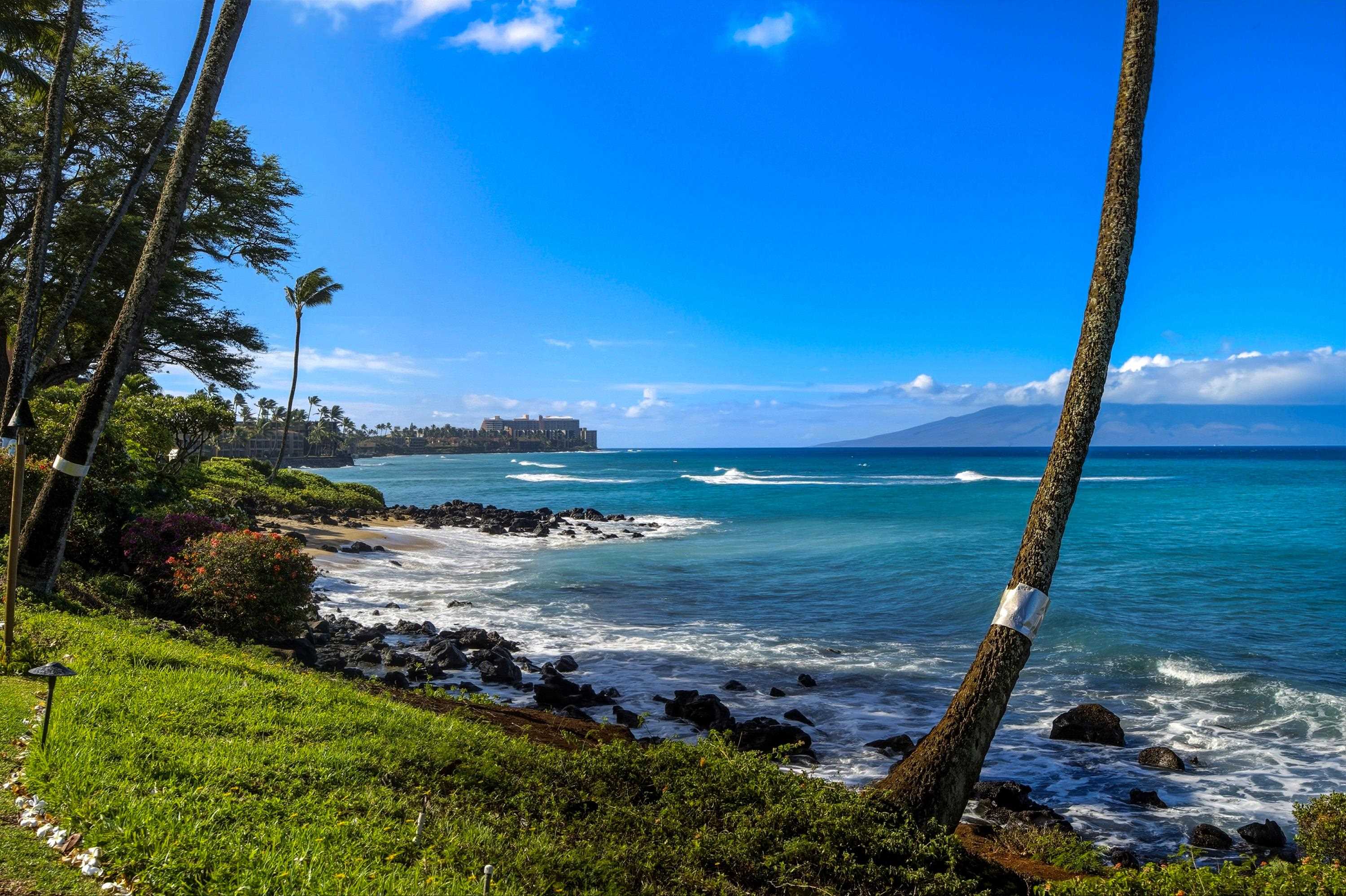 Polynesian Shores condo # 114, Lahaina, Hawaii - photo 2 of 31