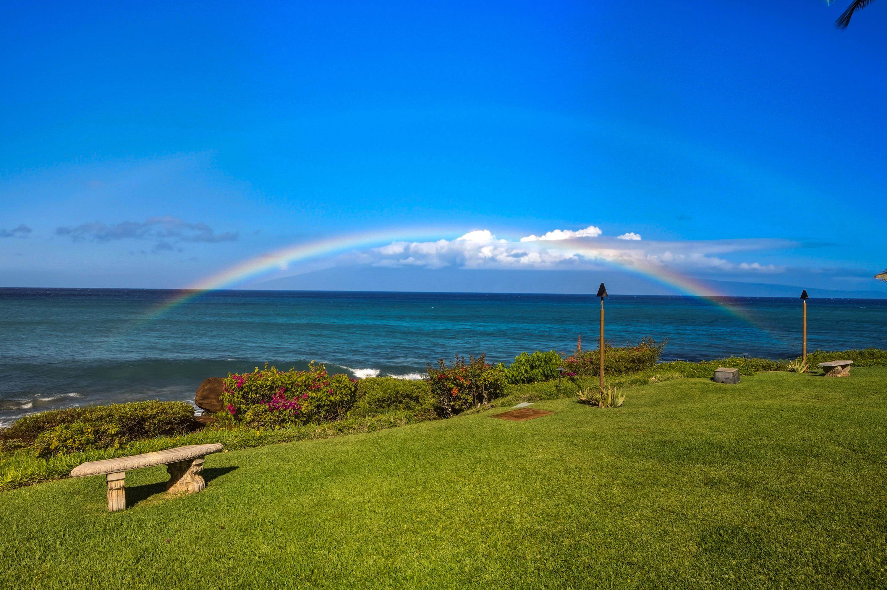 Polynesian Shores condo # 114, Lahaina, Hawaii - photo 28 of 31