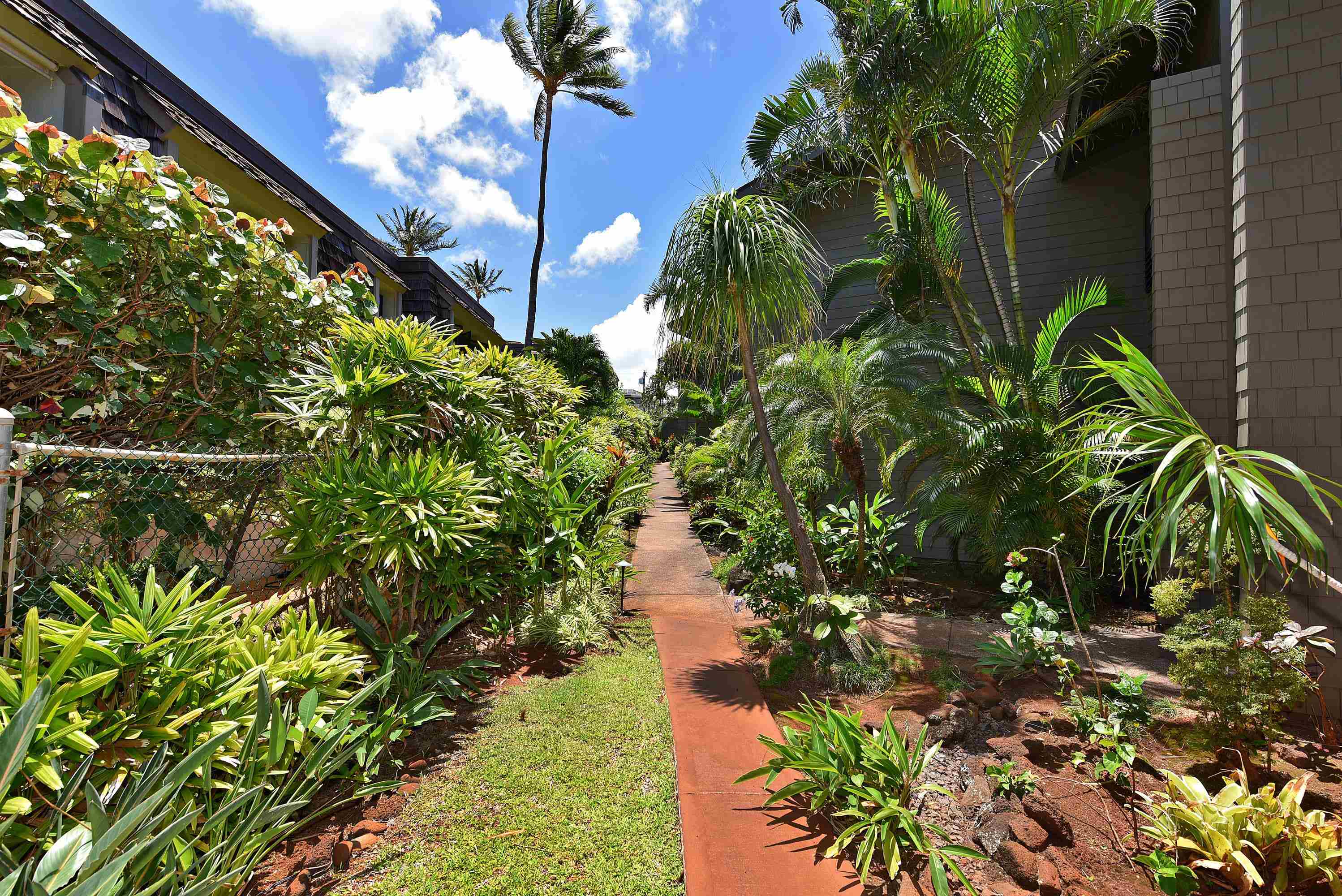 Polynesian Shores condo # 204, Lahaina, Hawaii - photo 35 of 50