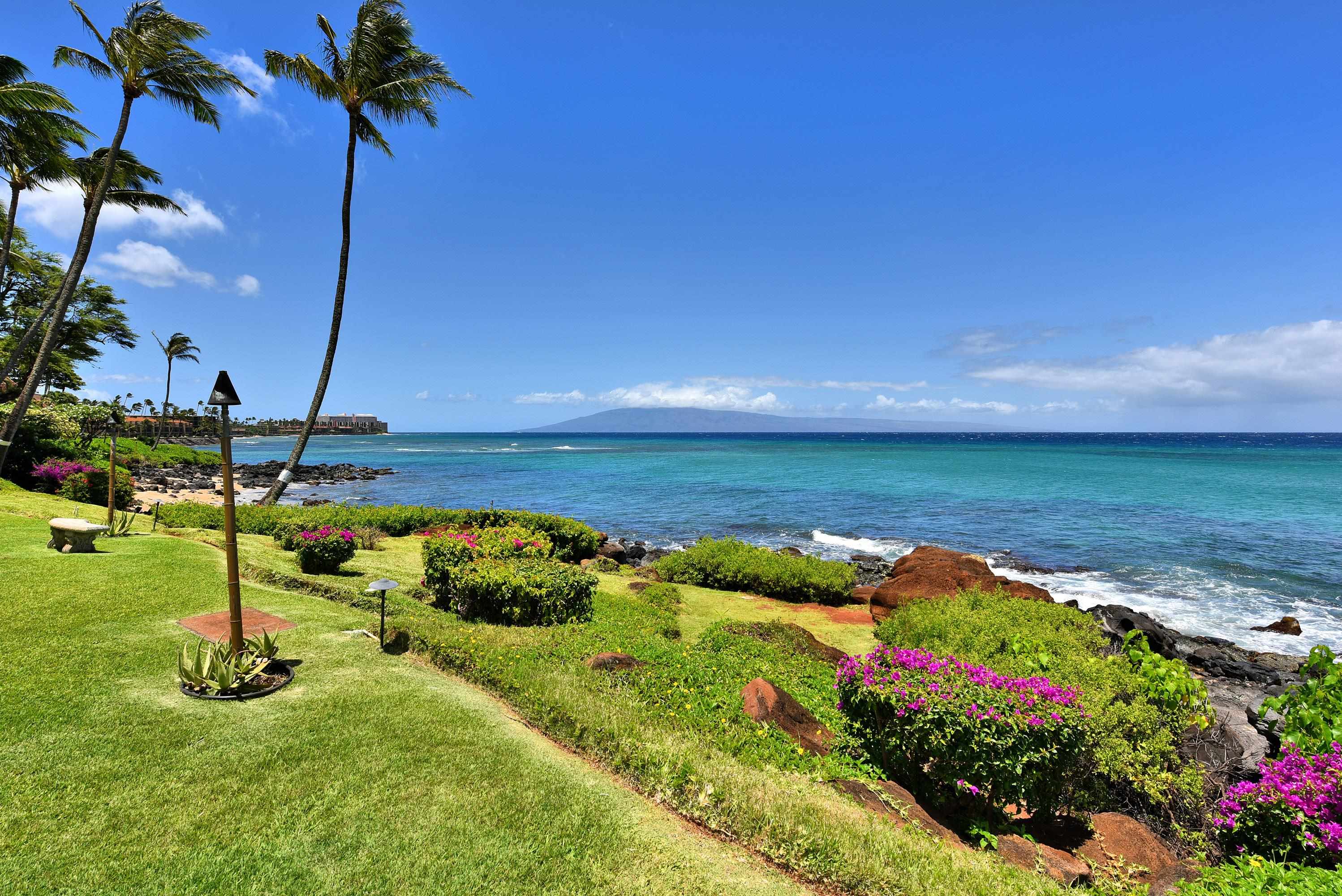 Polynesian Shores condo # 204, Lahaina, Hawaii - photo 36 of 50