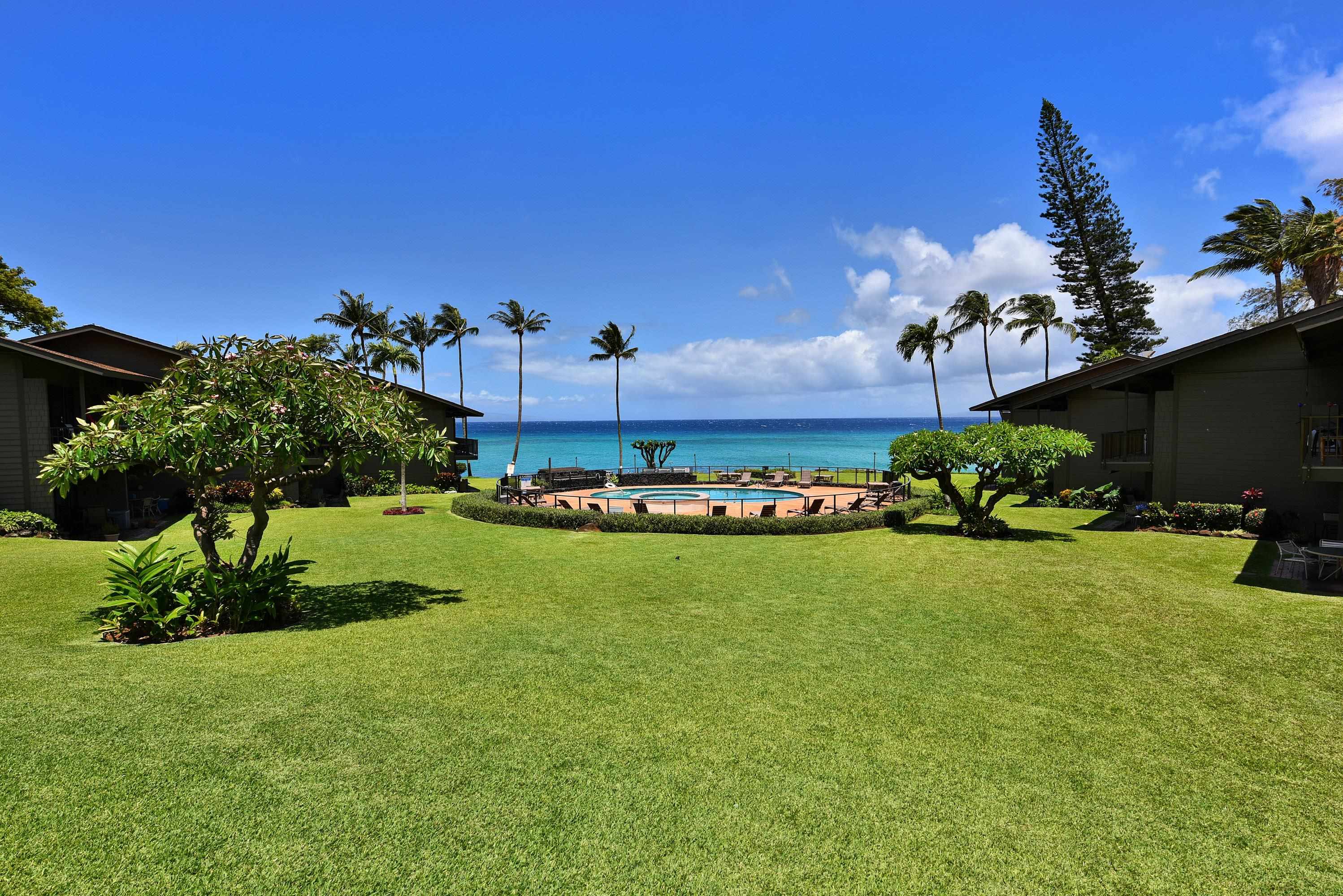 Polynesian Shores condo # 204, Lahaina, Hawaii - photo 37 of 50