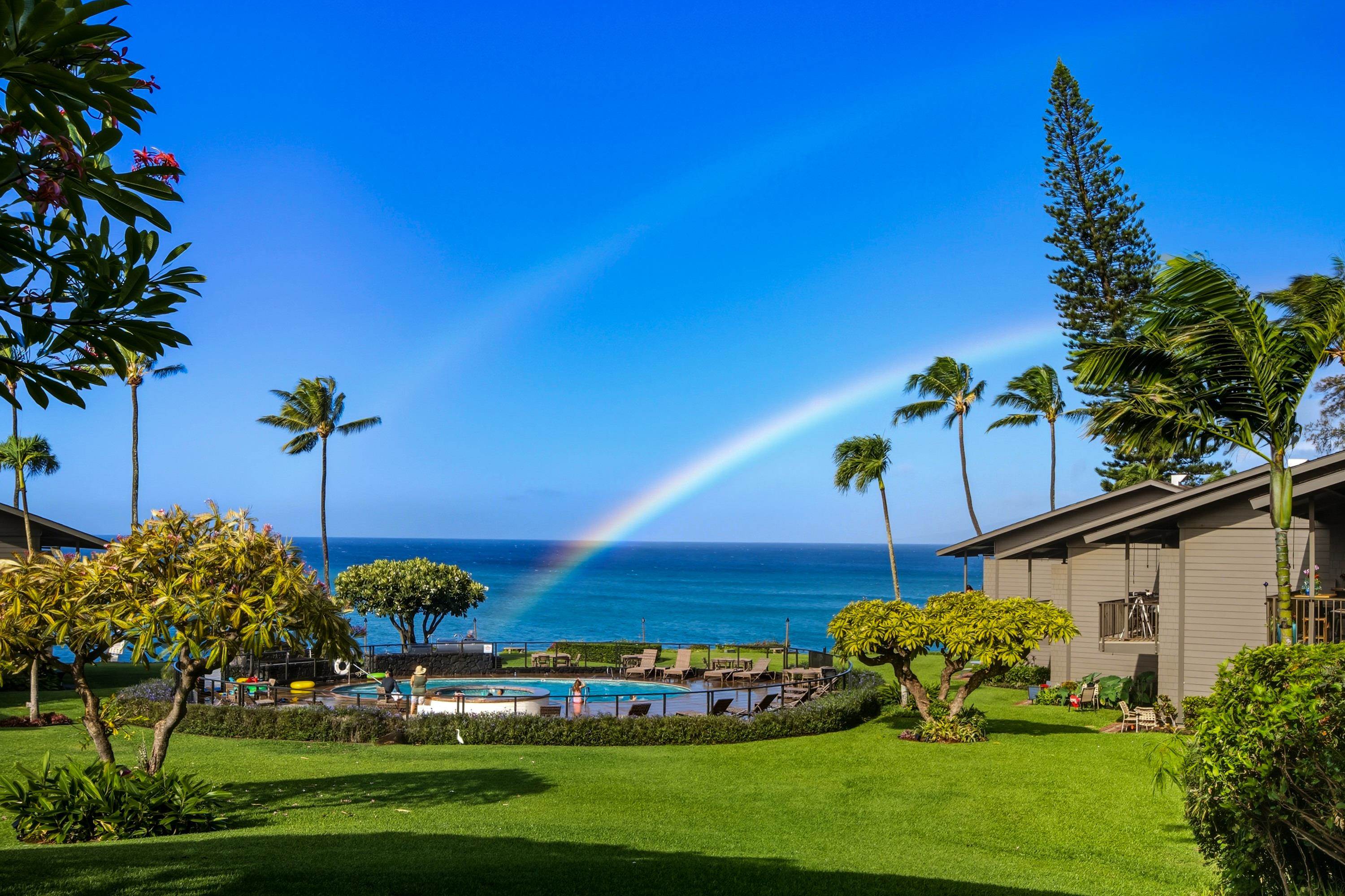 Polynesian Shores condo # 204, Lahaina, Hawaii - photo 40 of 50