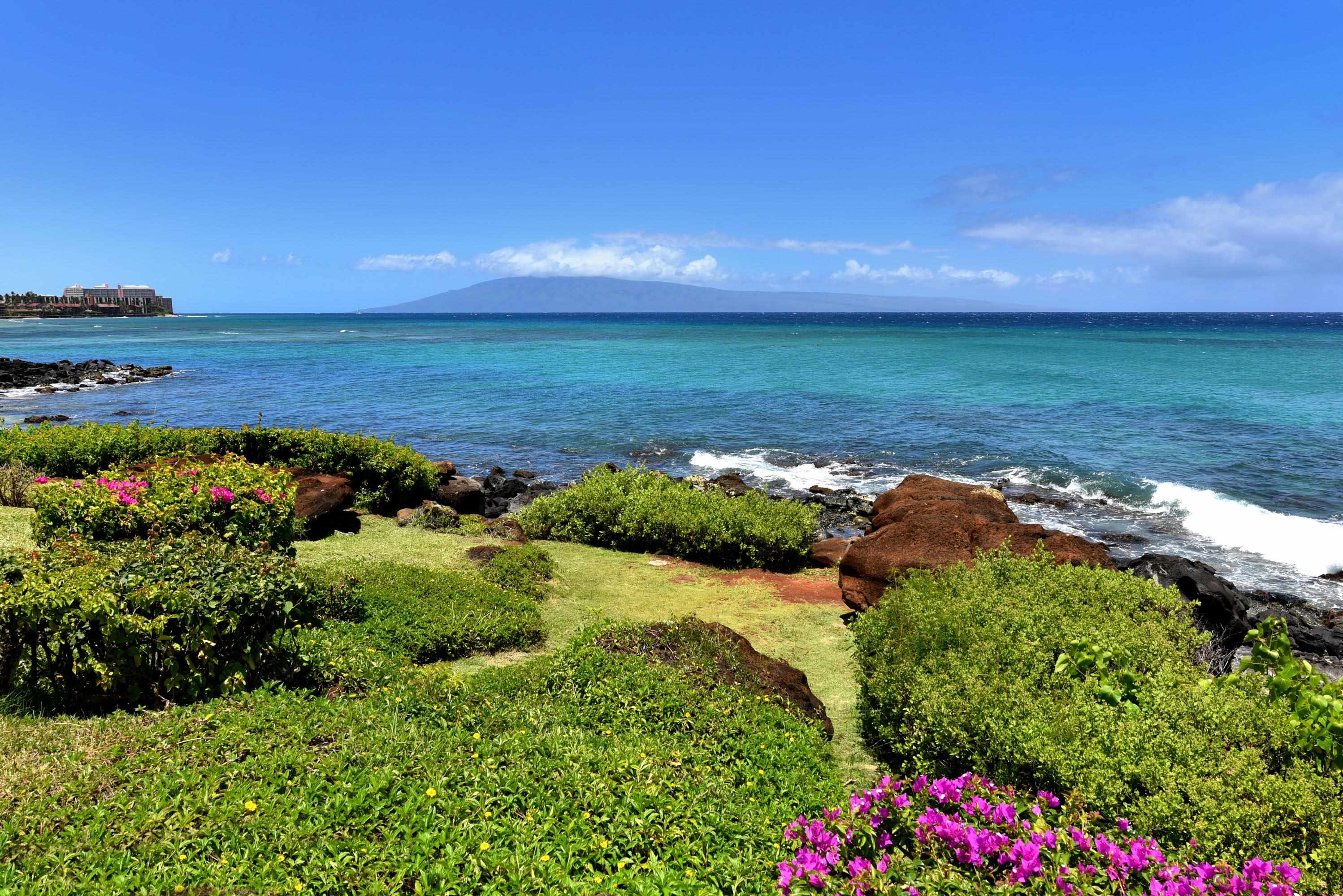 Polynesian Shores condo # 204, Lahaina, Hawaii - photo 41 of 50