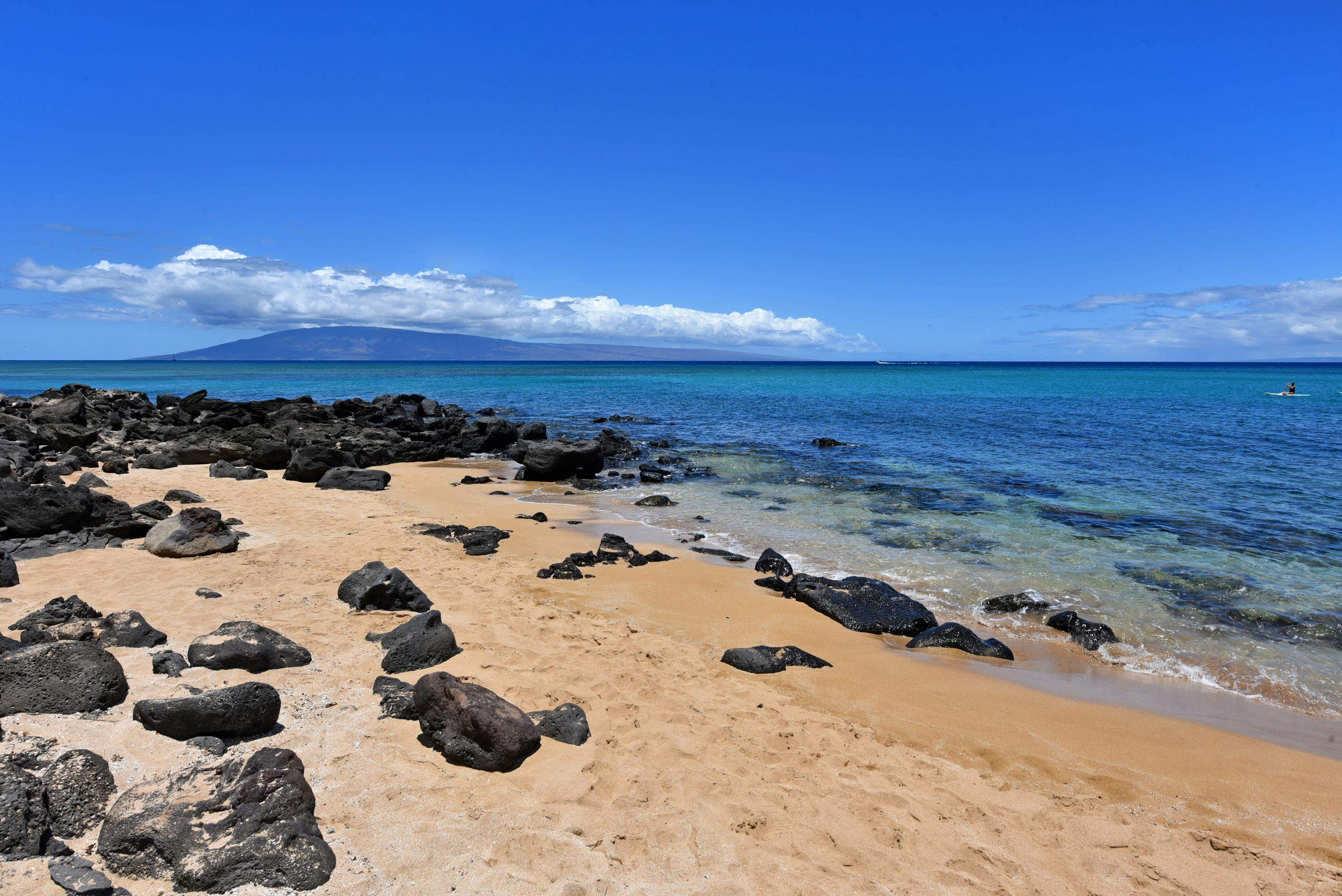 Polynesian Shores condo # 204, Lahaina, Hawaii - photo 47 of 50