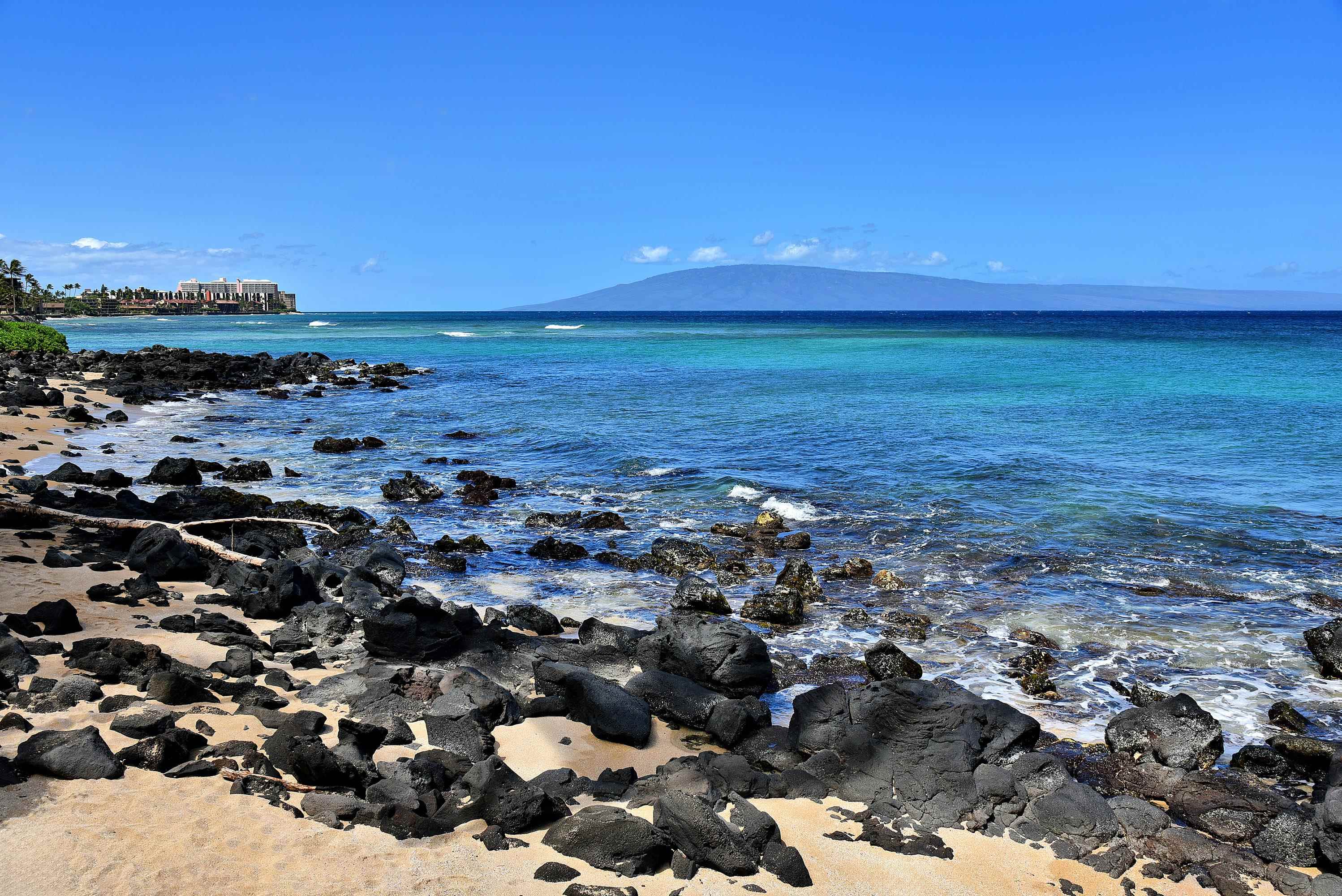 Polynesian Shores condo # 204, Lahaina, Hawaii - photo 49 of 50