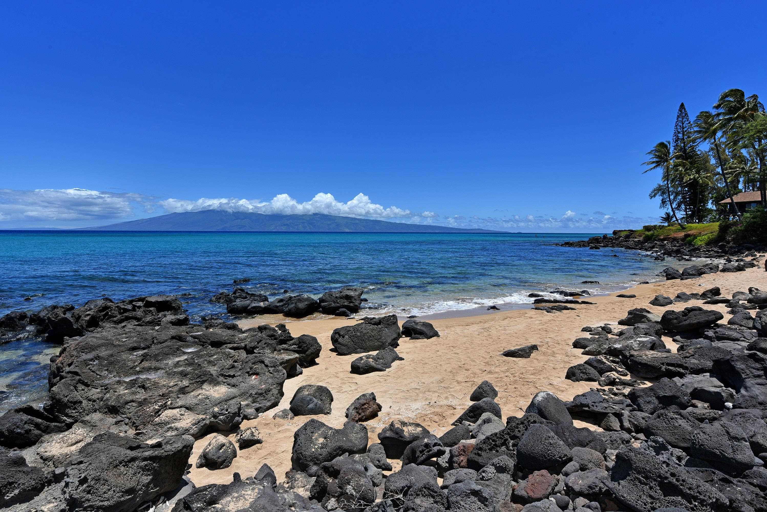 Polynesian Shores condo # 204, Lahaina, Hawaii - photo 50 of 50