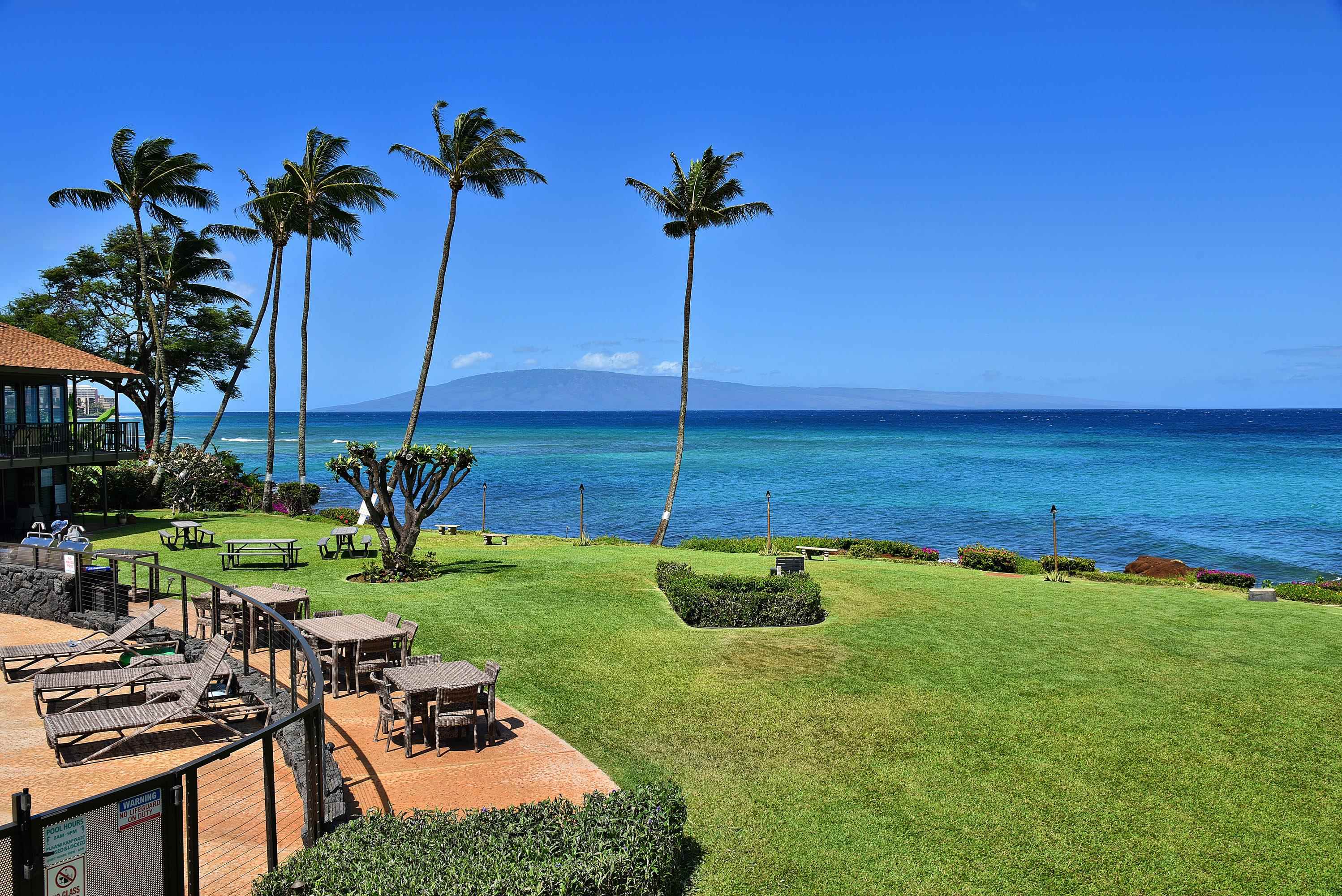 Polynesian Shores condo # 204, Lahaina, Hawaii - photo 9 of 50