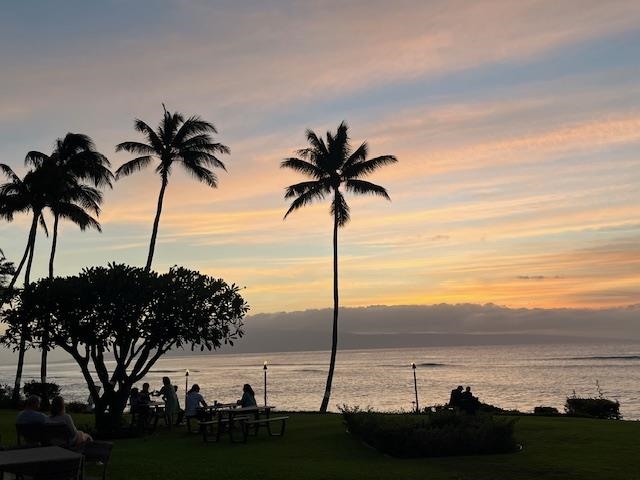 Polynesian Shores condo # 206, Lahaina, Hawaii - photo 24 of 38