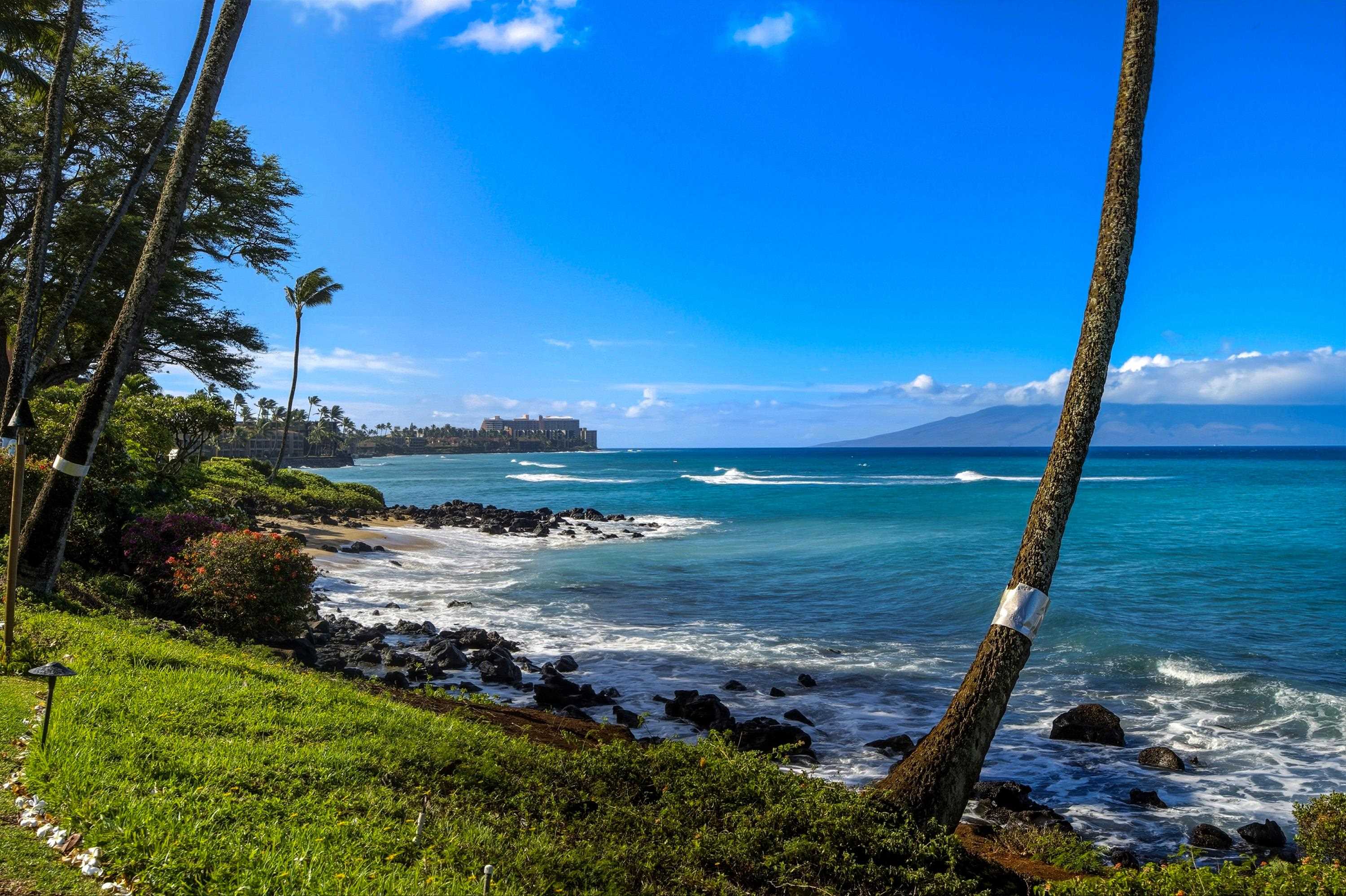 Polynesian Shores condo # 206, Lahaina, Hawaii - photo 35 of 38