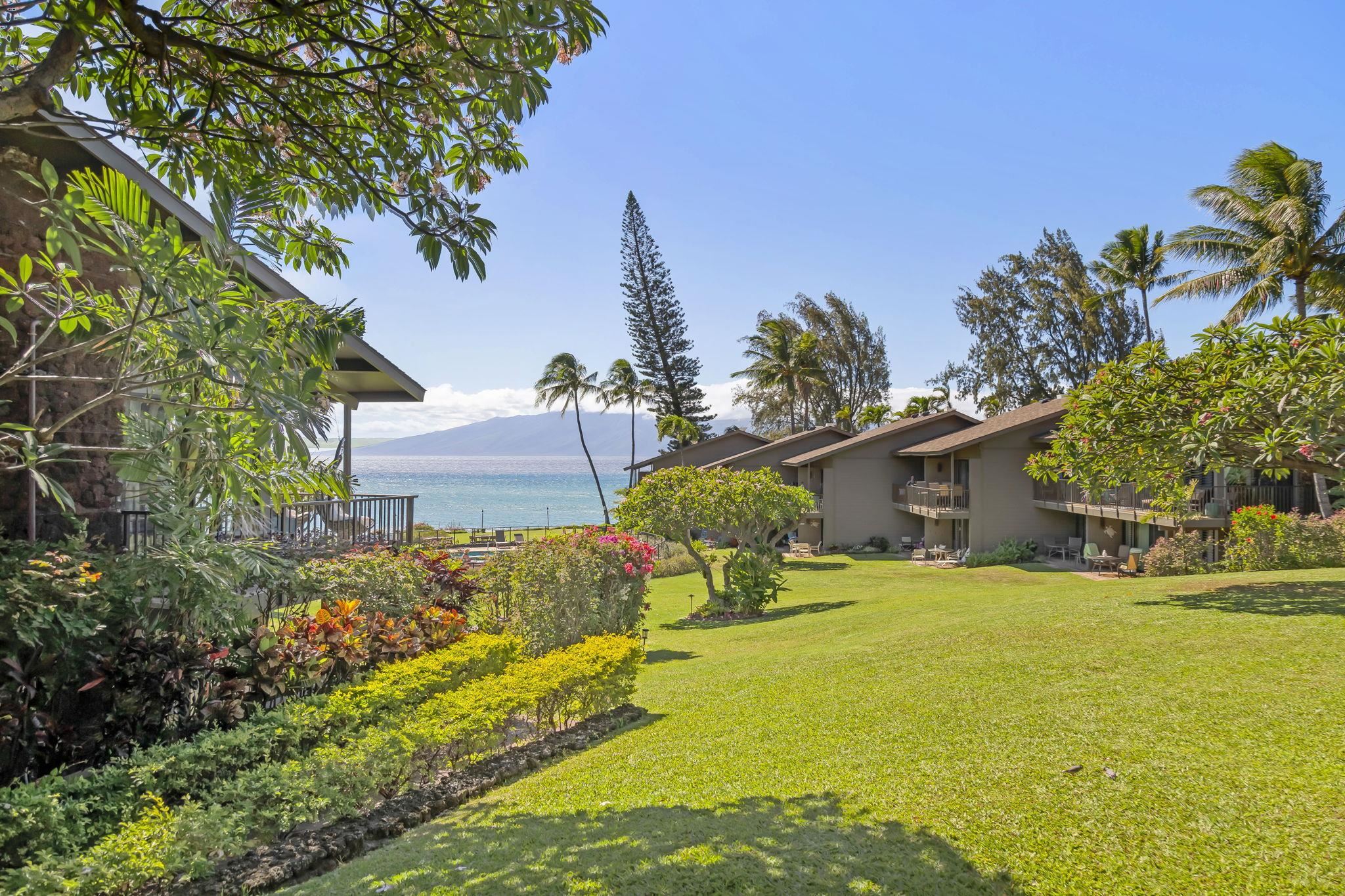 Polynesian Shores condo # 221, Lahaina, Hawaii - photo 25 of 35