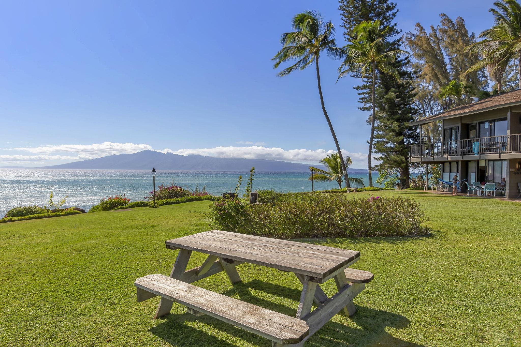 Polynesian Shores condo # 221, Lahaina, Hawaii - photo 29 of 35