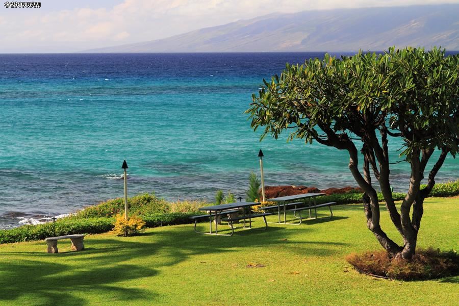 Polynesian Shores condo # 223, Lahaina, Hawaii - photo 3 of 27